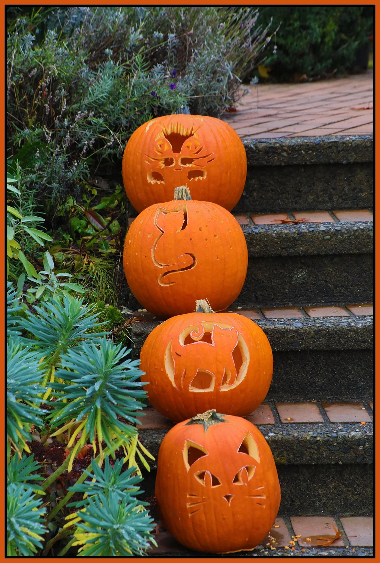 1118 Island Park Walk Pumpkins_Oct 31_2024_HDR_5E3915_4x6s.jpg