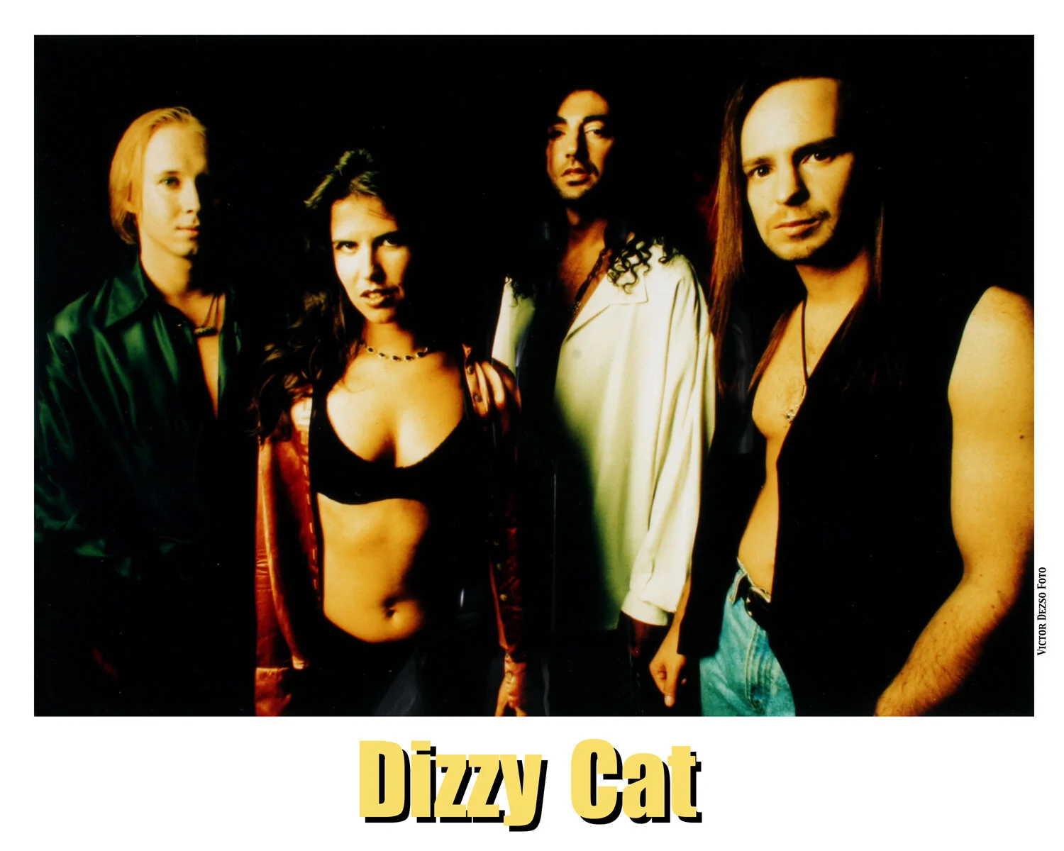 Dizzy Cat_6159_4x5.jpg