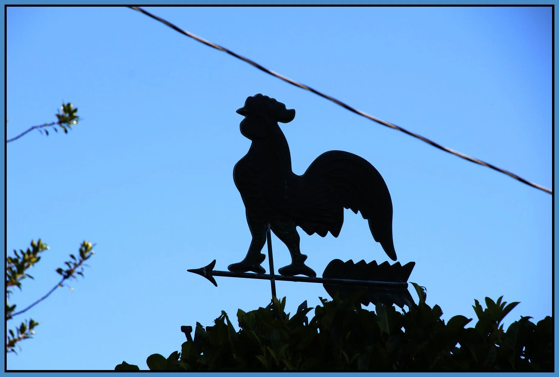 Weather Vane_Oct 9_2012_HDR_0255_4x6s.jpg