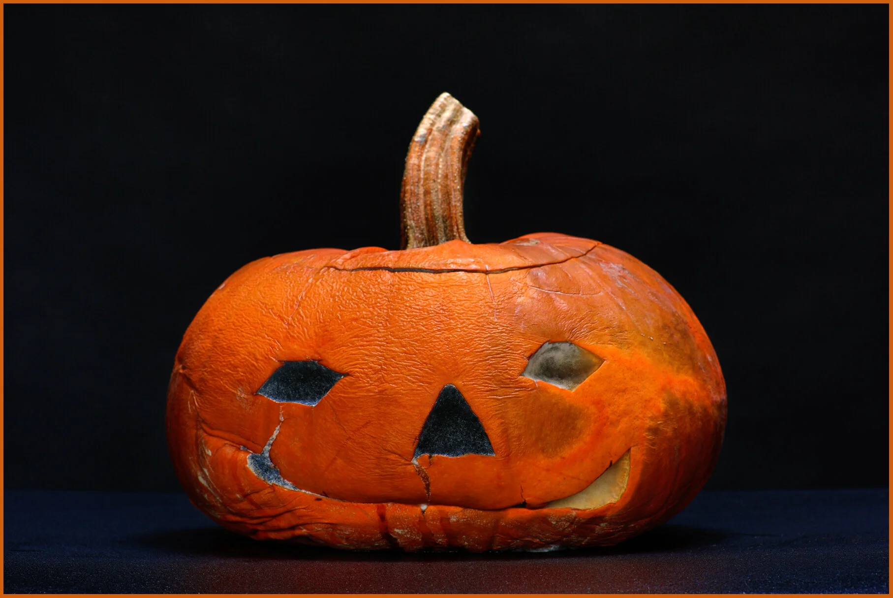Pumpkin_Nov 9_2013_HDR_D3550_4x6s.jpg