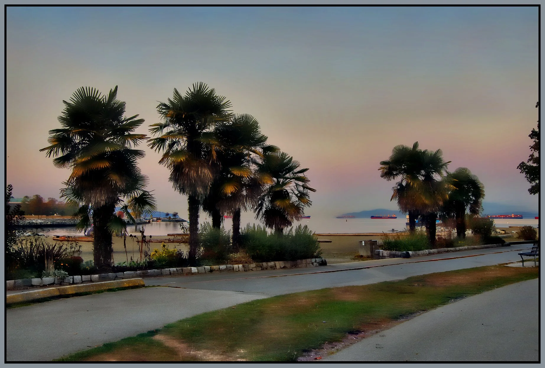 Sunset Beach Palms_Oct 16_2022_HDR_4H3970_peHdr2013_1_4x6s.jpg