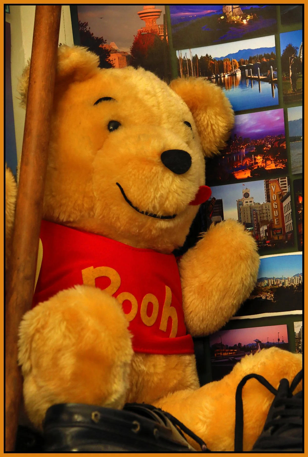Pooh_July 14_2018_HDR_C1931_4x6s.jpg