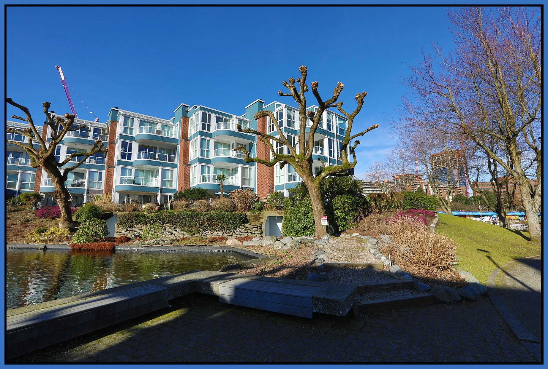 Island Park Walk 1100 Trees_Feb 28_2025_HDR_5E0060_4x6s.jpg