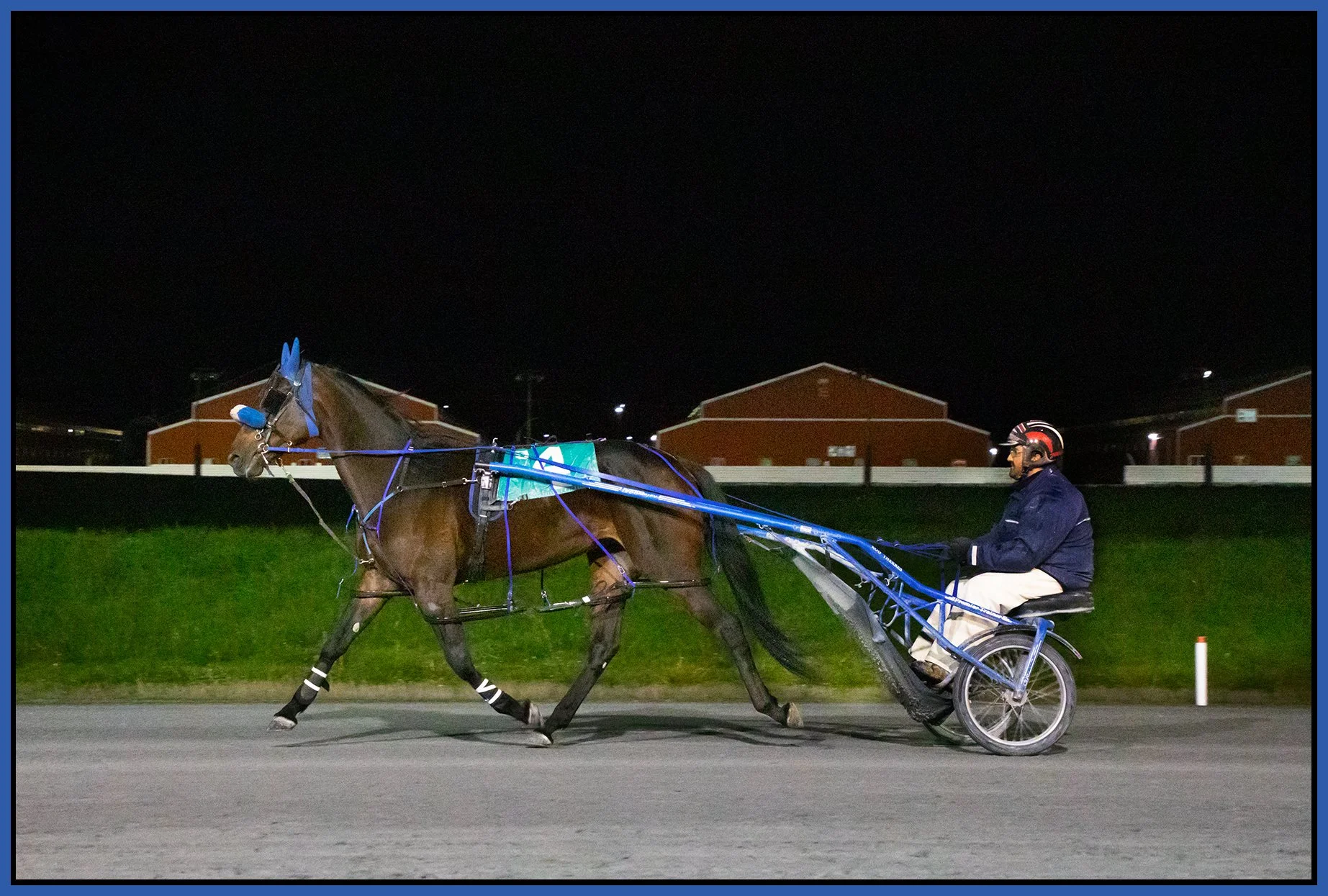 Fraser Downs_Oct 20_2021_CR2_5A7742_4x6s.jpg