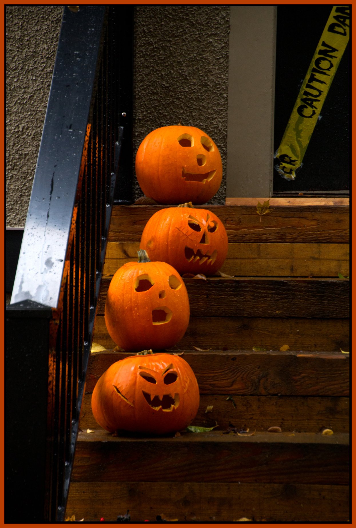 Pumpkins_Nov 1_2012_1131_4x6s.jpg