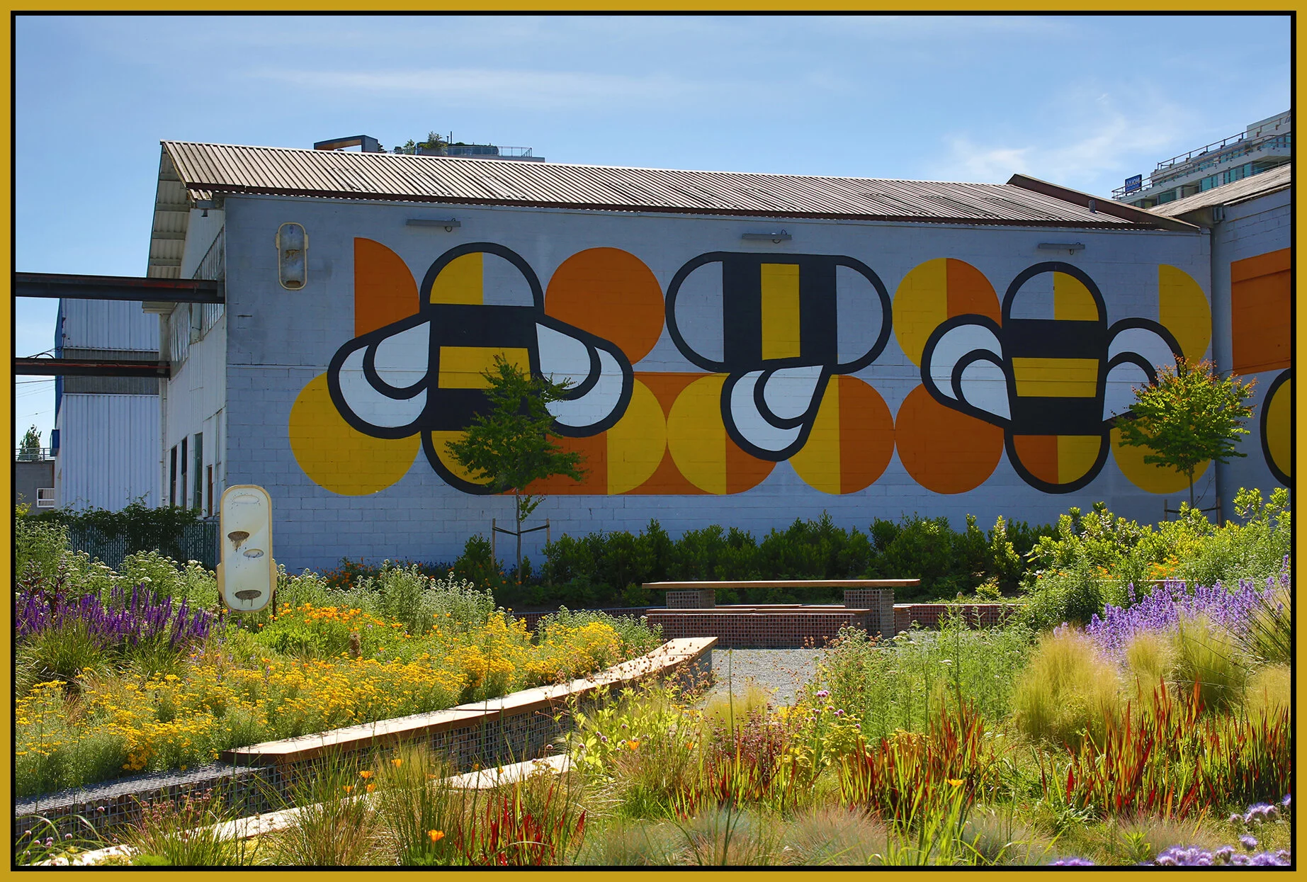 Pine St Mural_May 27_2018_HDR_A3807_4x6s.jpg