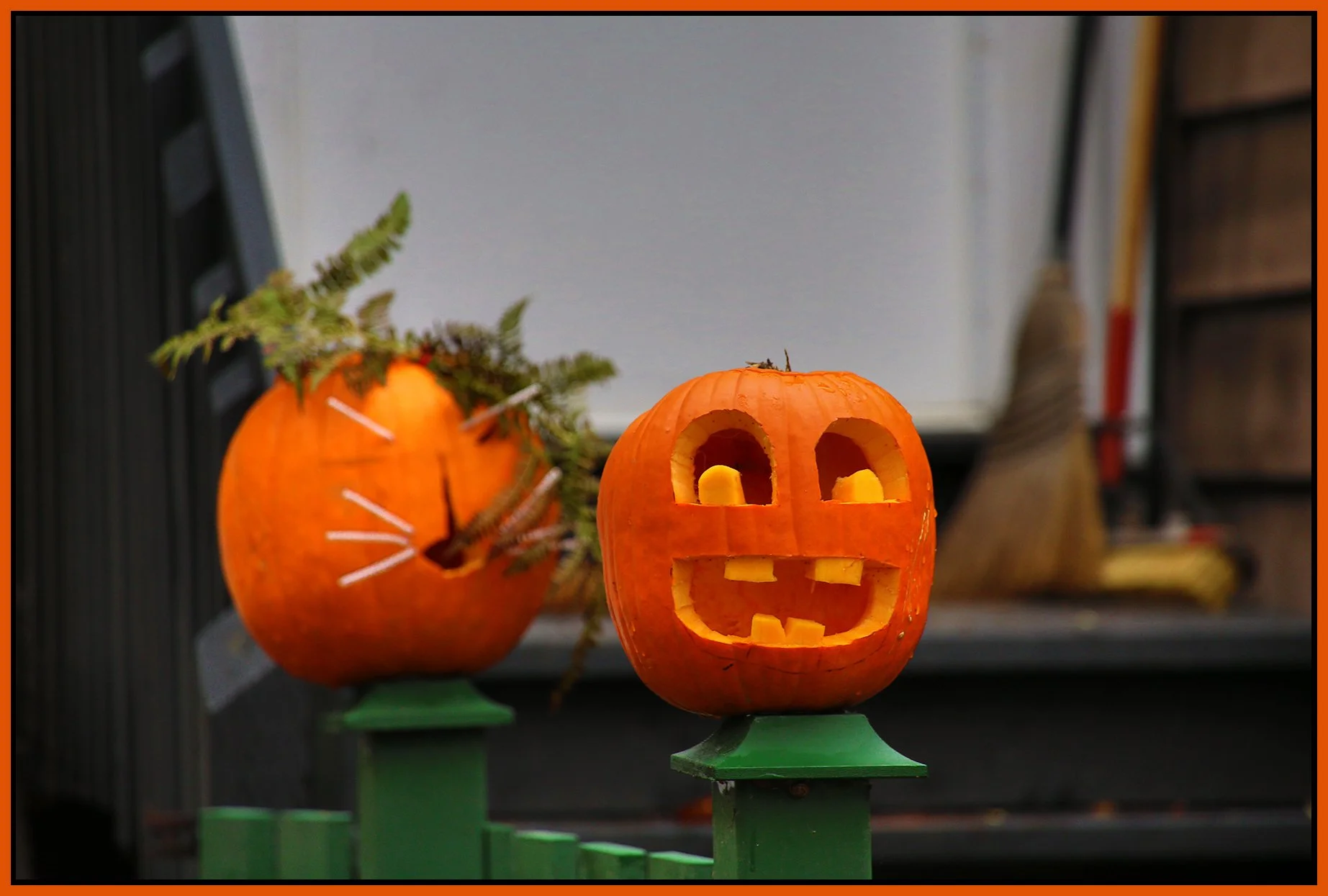 Pumpkin_Nov 2_2015_HDR_FH9501_4x6s.jpg