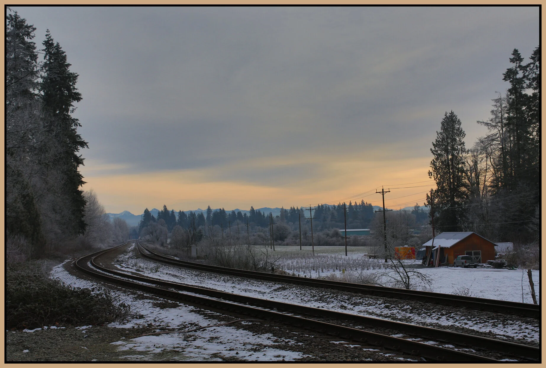 Langley Trees_Jan 2_2018_HDR_L0487_4x6s.jpg