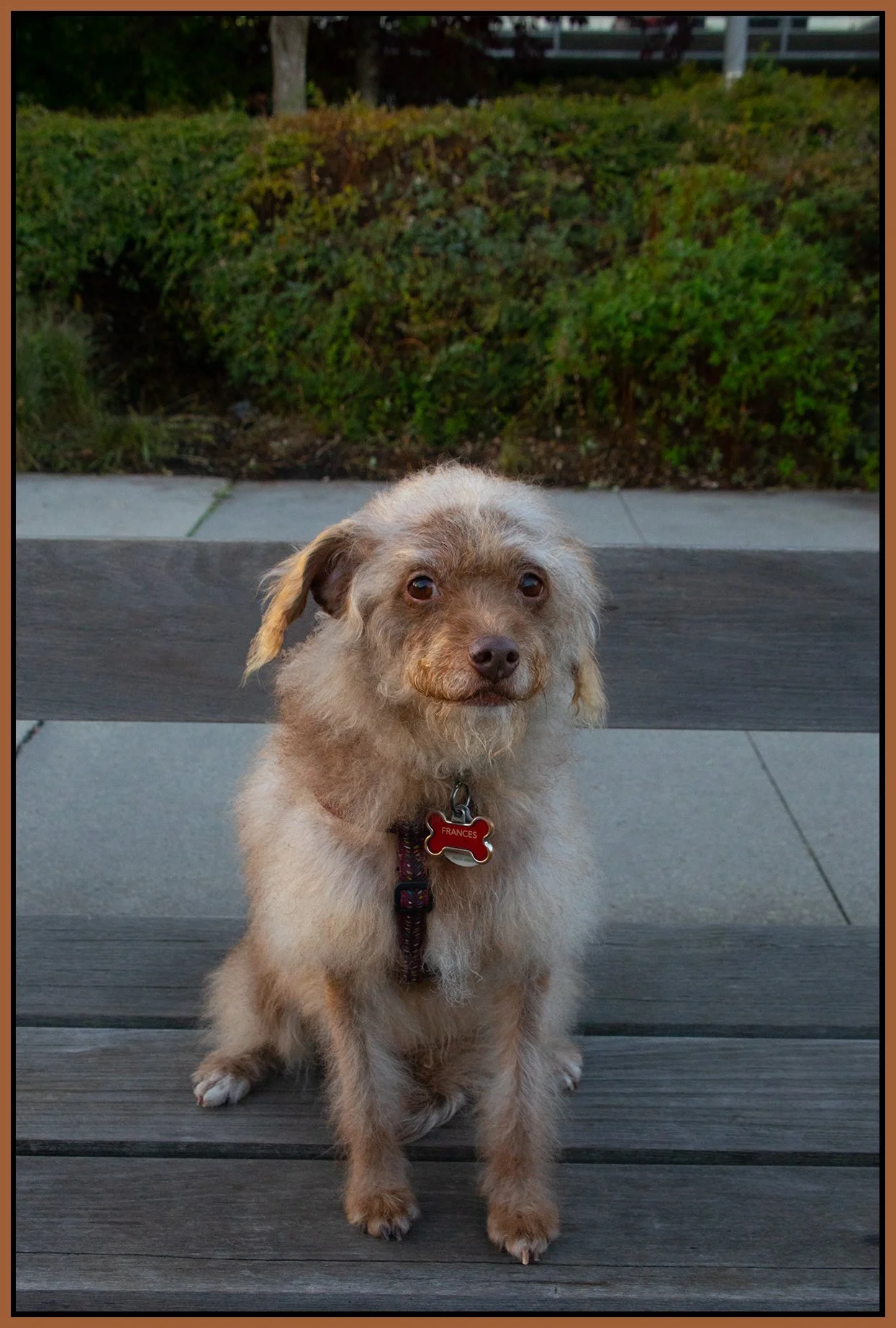 Frances_Oct 24_2024_HDR_5E3493_4x6s.jpg