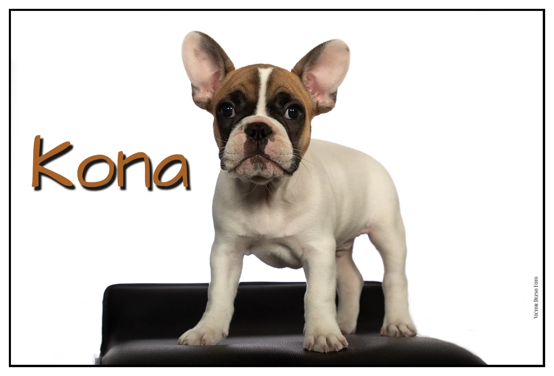 Kona_Sep 11_2021_CR2_5A2203_1_4x6s.jpg