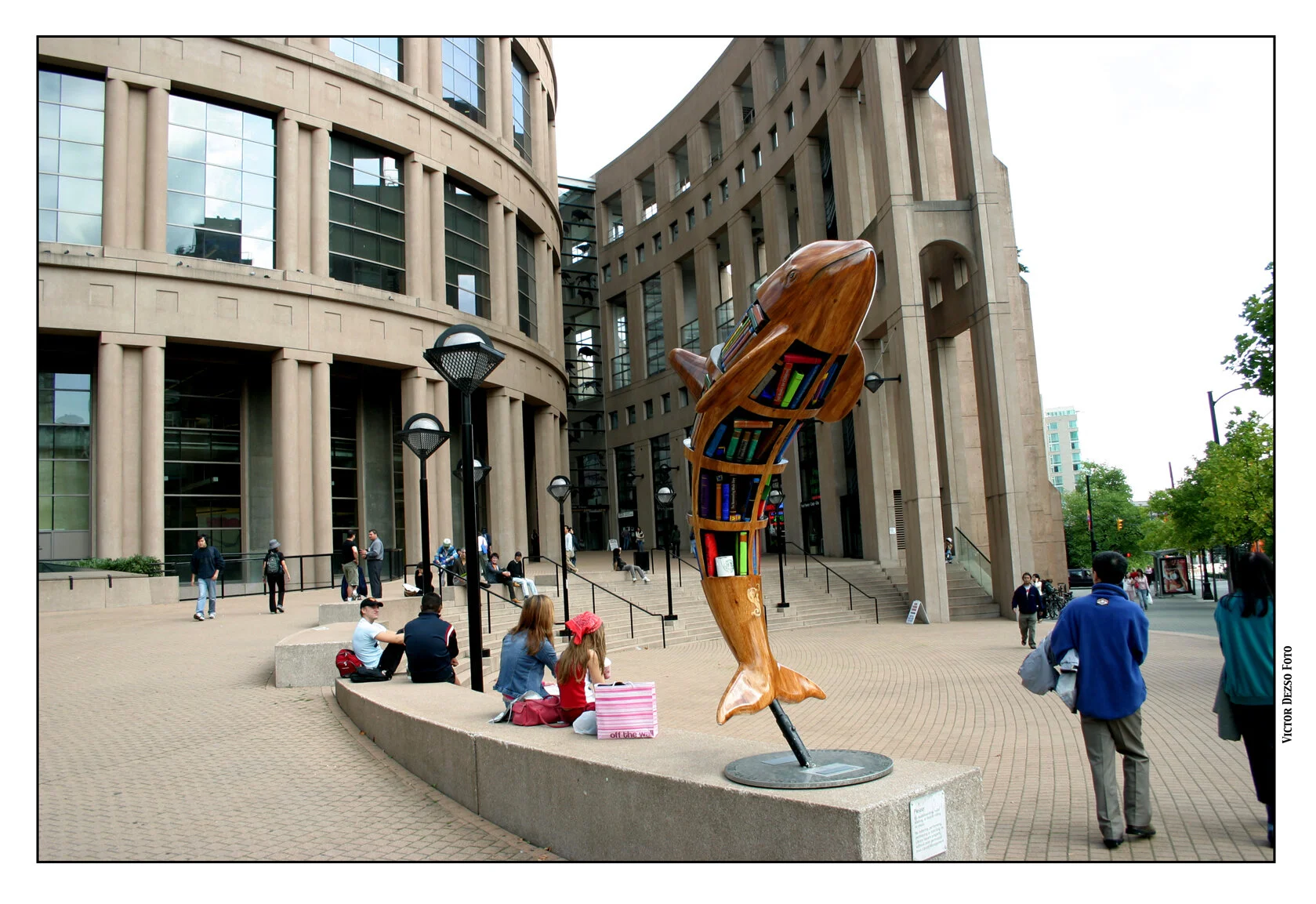 Library Dolphin_7968_4x6s.jpg