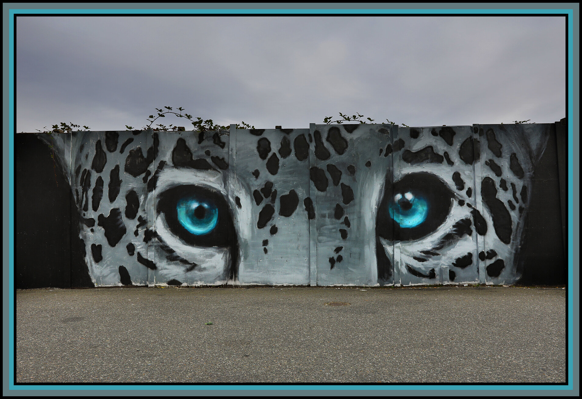 Andina on Powell Mural_Oct 2_2019_HDR_F6310_4x6s.jpg