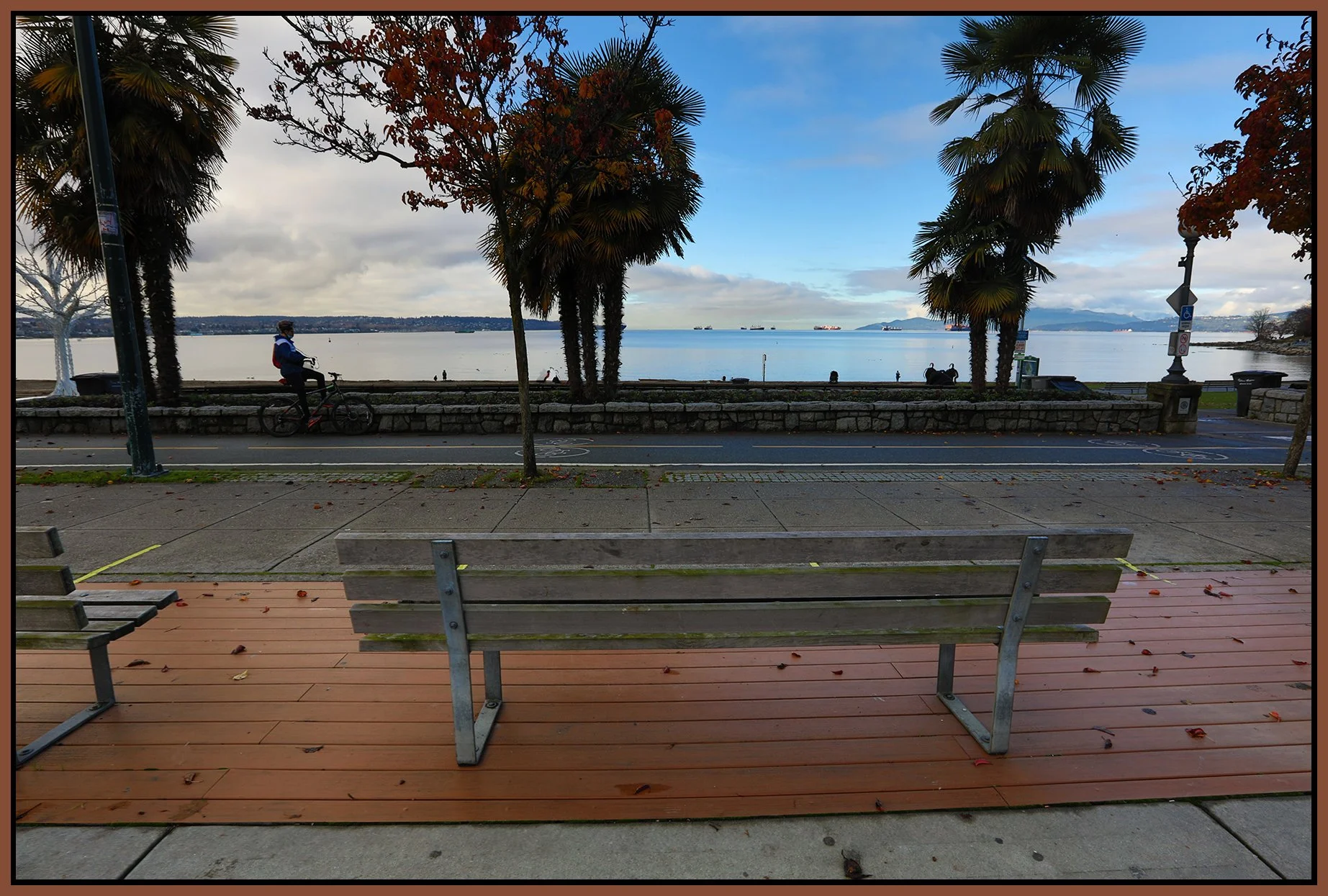 Bench in English Bay_Nov 25_2020_HDR_4G6508_4x6s.jpg