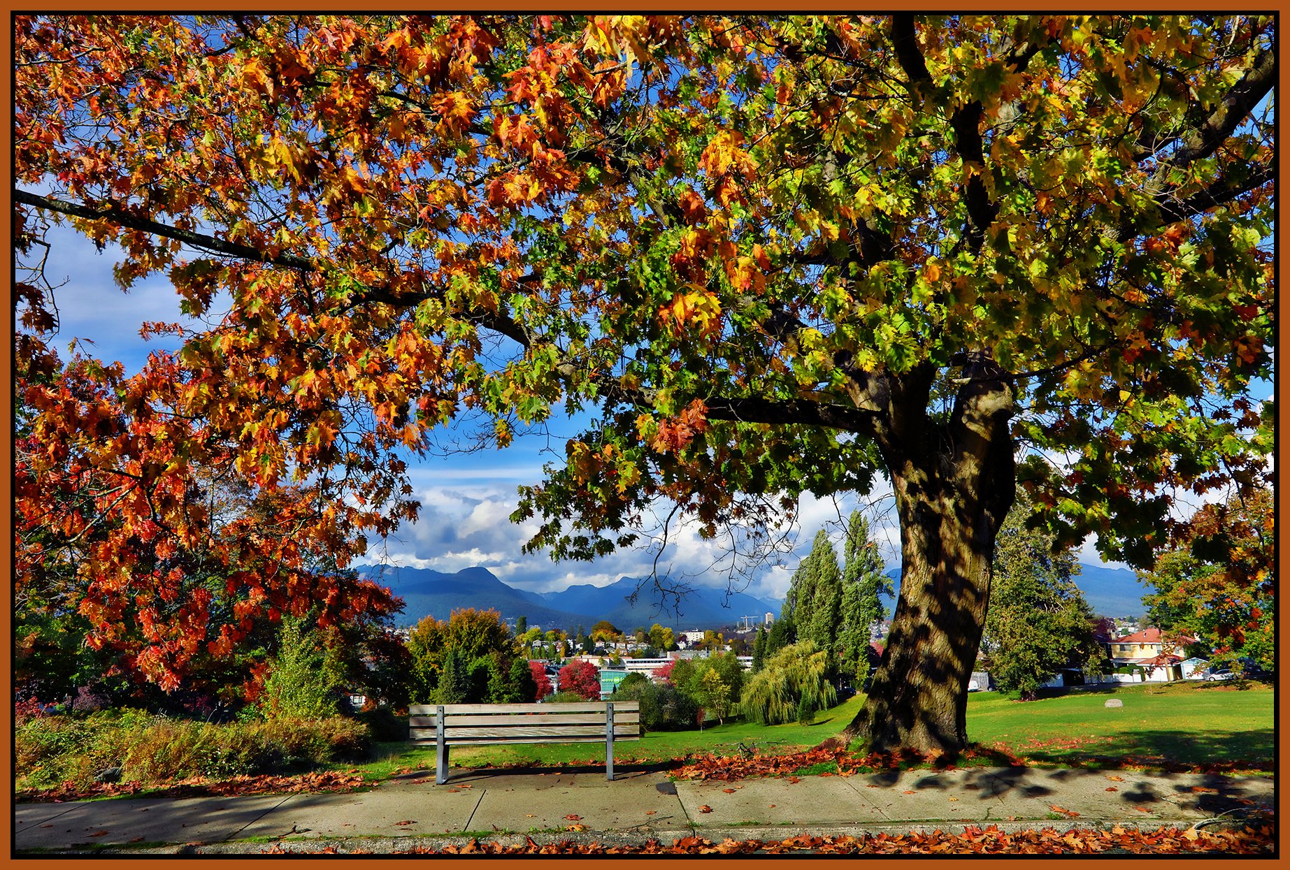 Falaise Pk Bench & Trees_Oct 10_2021_HDR_5A6436_peHyperNude_SC_4x6s.jpg