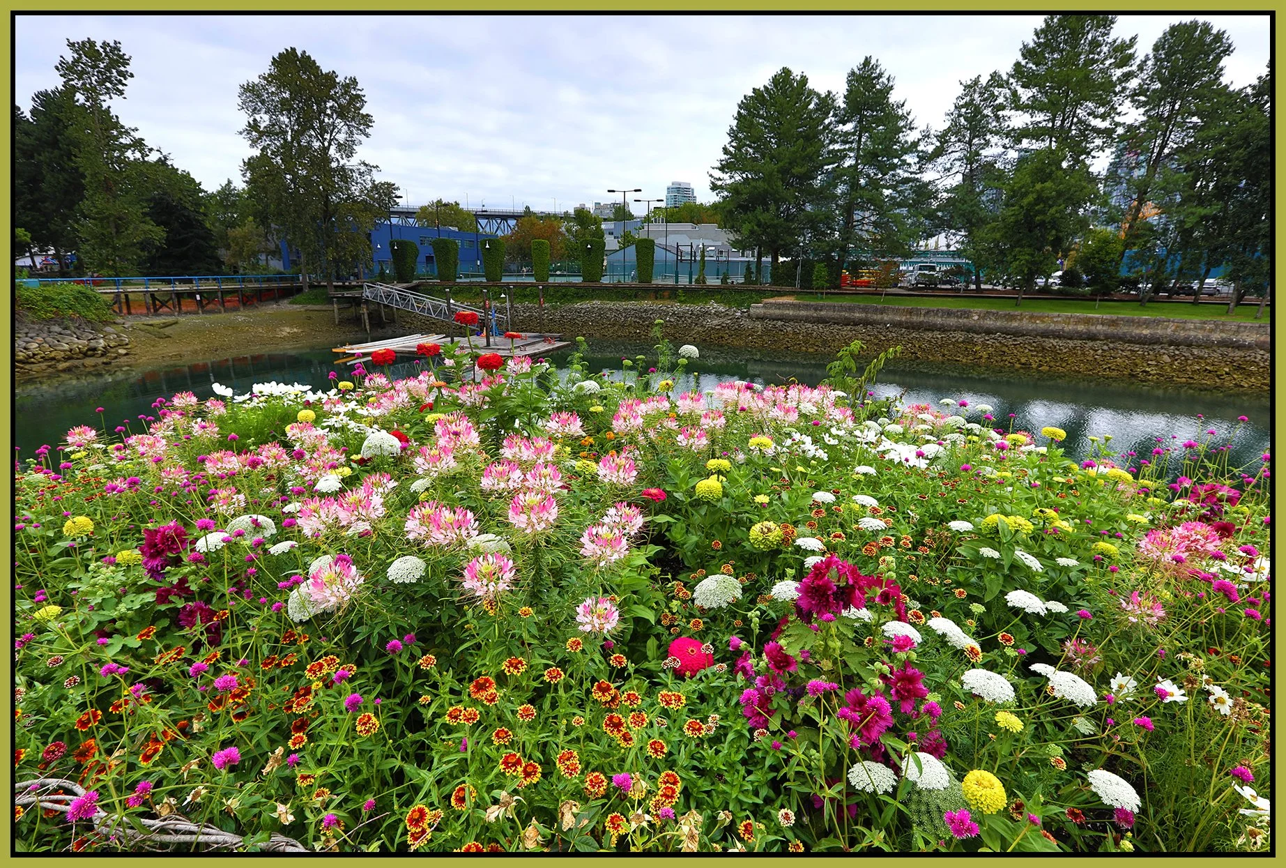 Flowers_Aug 14_2024_HDR_5E8206_4x6s.jpg