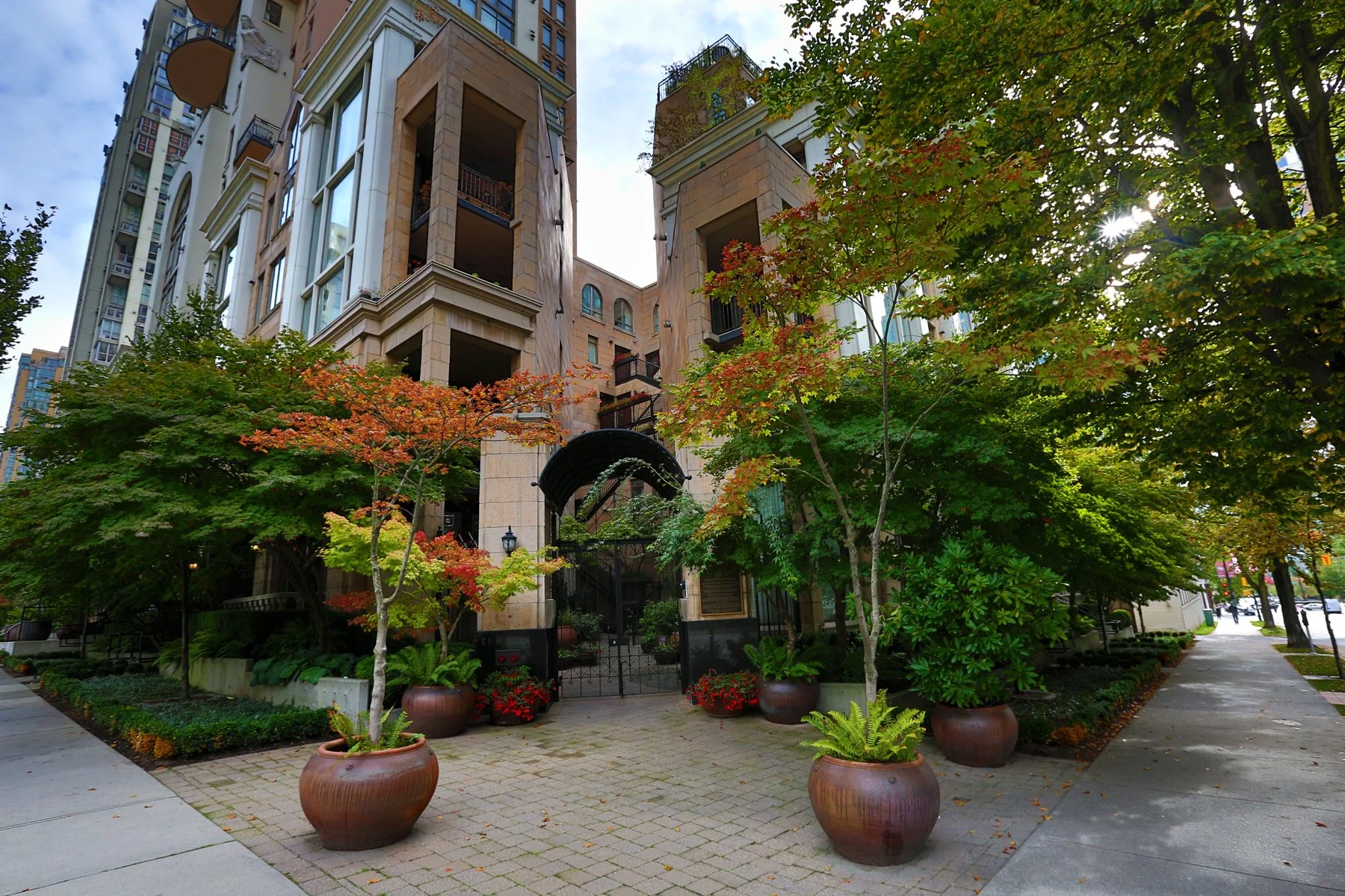 499 Drake Trees_Oct 2_2016_HDR_L0450_4x6.jpg