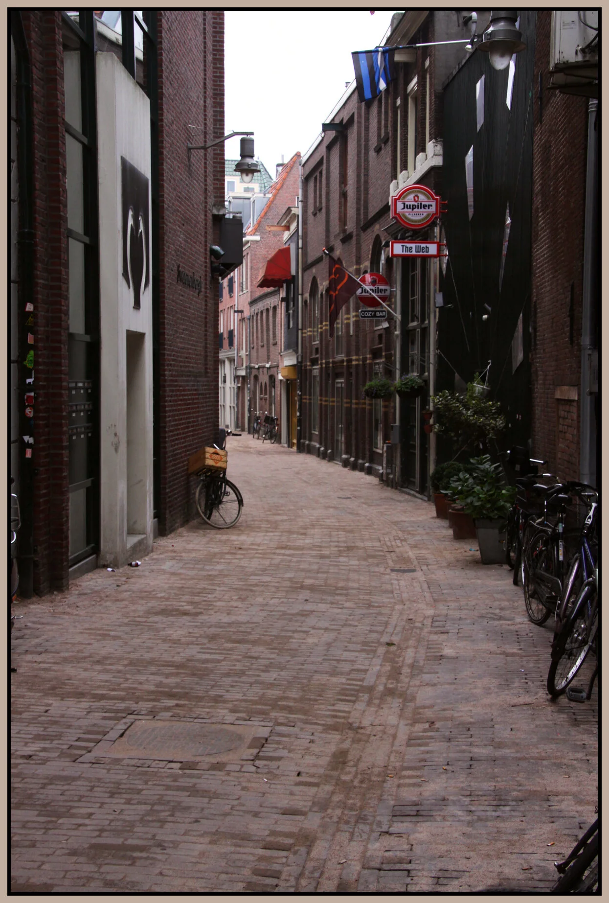 Amsterdam_Nov 8_2011_6618vel_4x6s.jpg