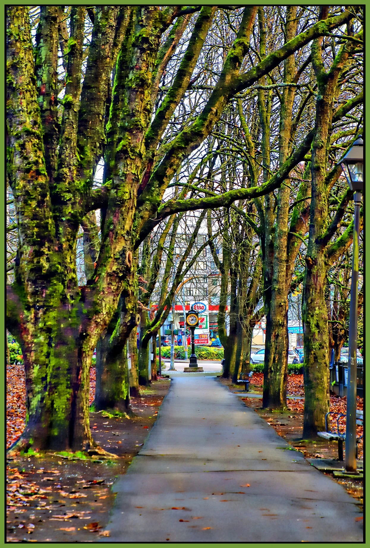 Moody Park Clock & Trees_Jan 19_2023_HDR_4H5312_peVibrClrs_Hdr2013_1_4x6s.jpg