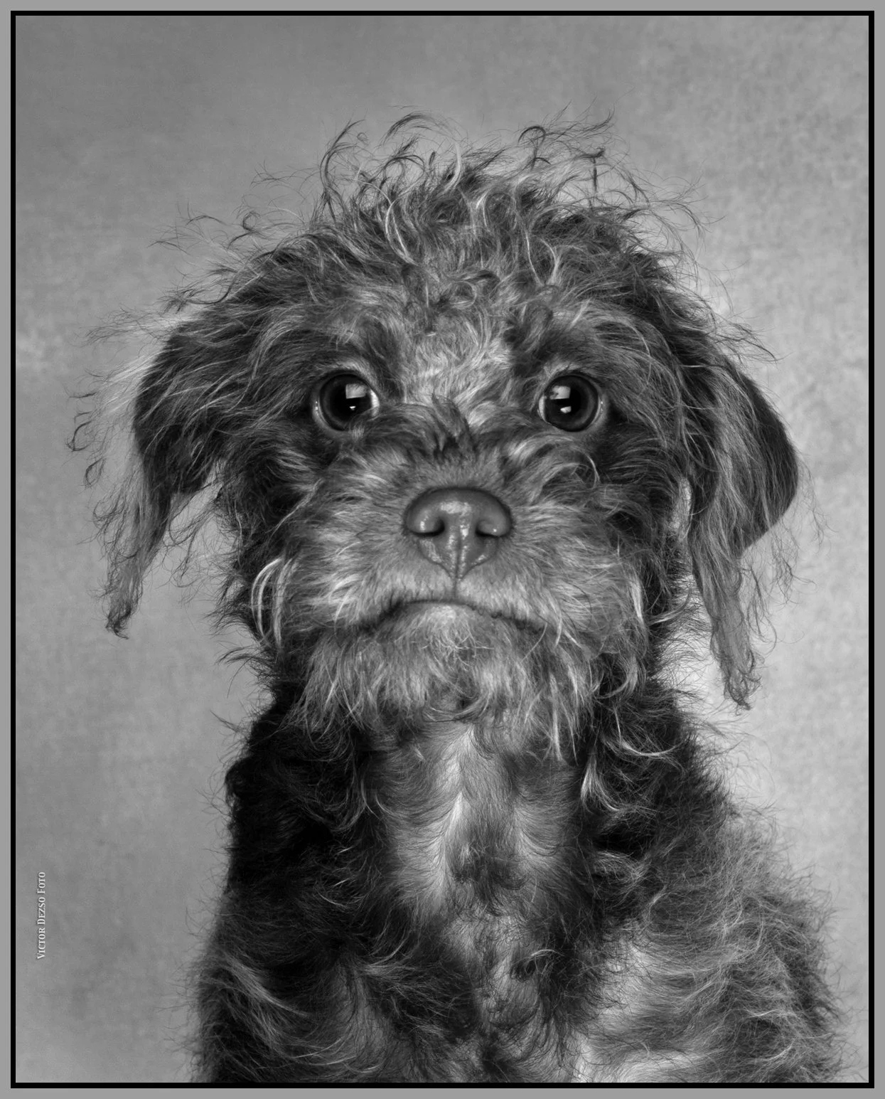 Frances Stewart_Feb 14_2015_F0496BW_4x5s.jpg