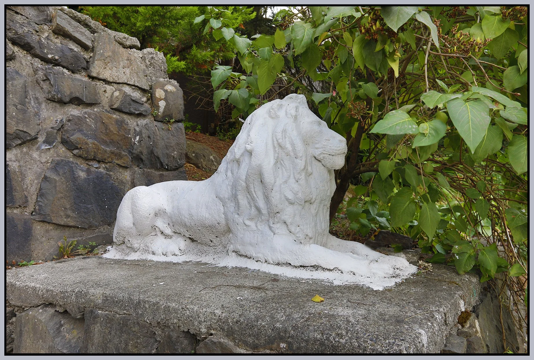 GNW_Lion Art_Sep 7_2025_HDR_4K2584_4x6s.jpg