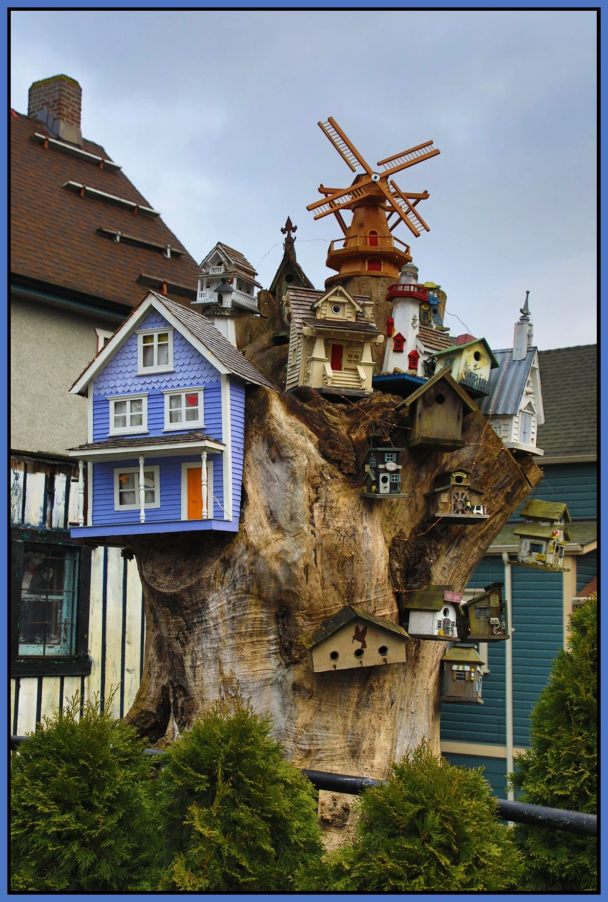 580 Heatley Tree House_Jan 13_2025_HDR_5E7906_4x6s.jpg