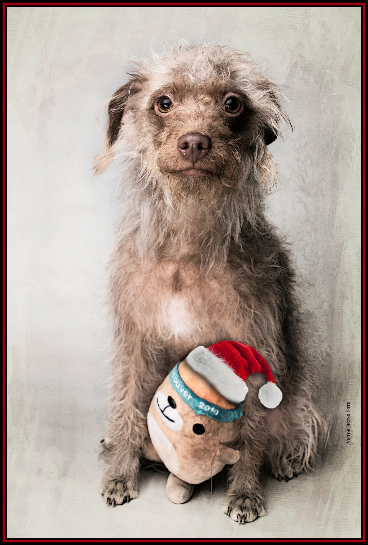 Frances Stewart Santa Hat_Oct 15_2015_H5382_1_peGrapic014_4x6s.jpg