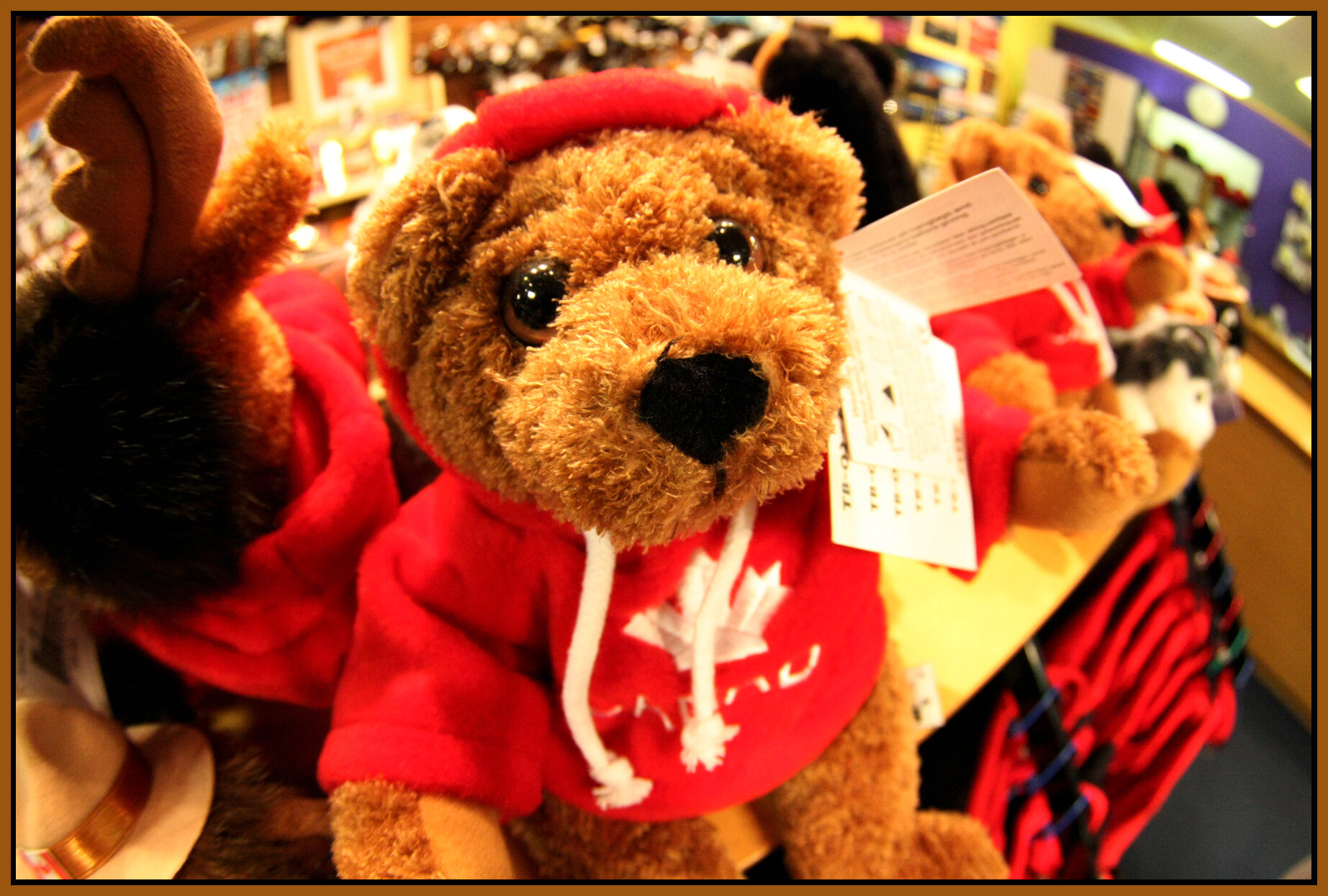 Gastown Bear_0513_4x6s.jpg