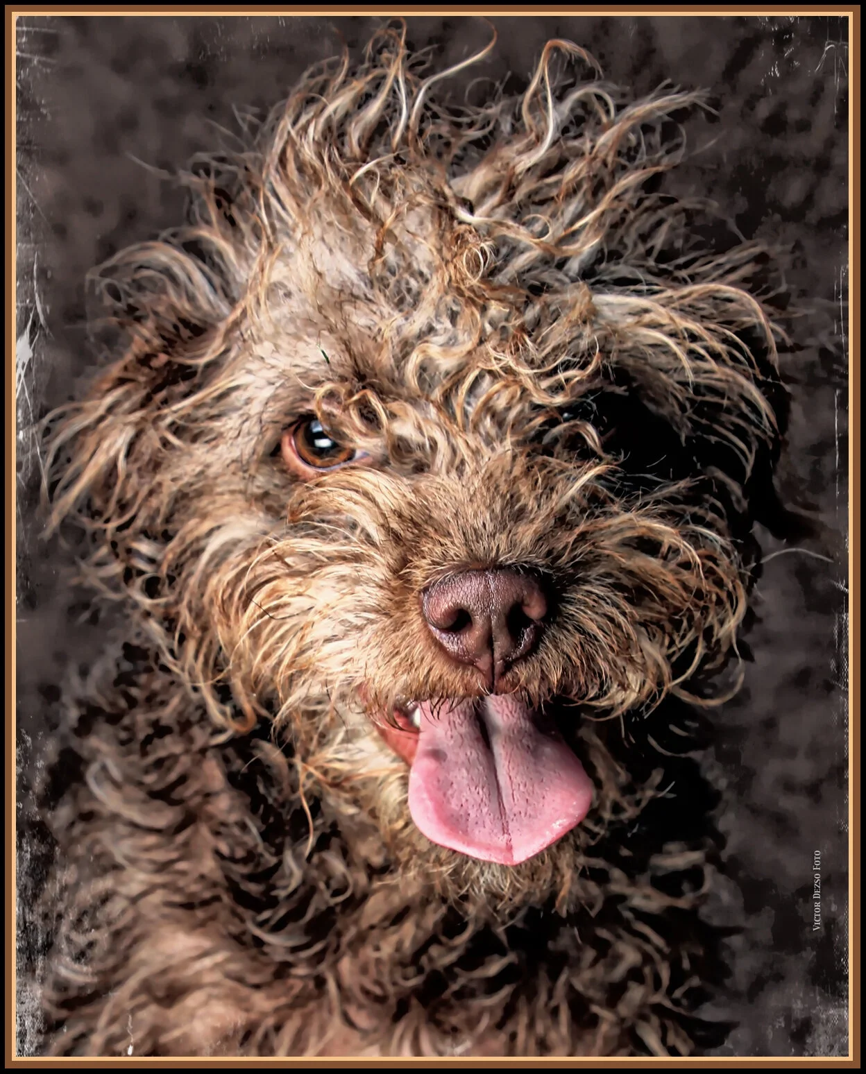 Frances Stewart_Apr 15_2015_F3503_peCrofton_4x5s.jpg