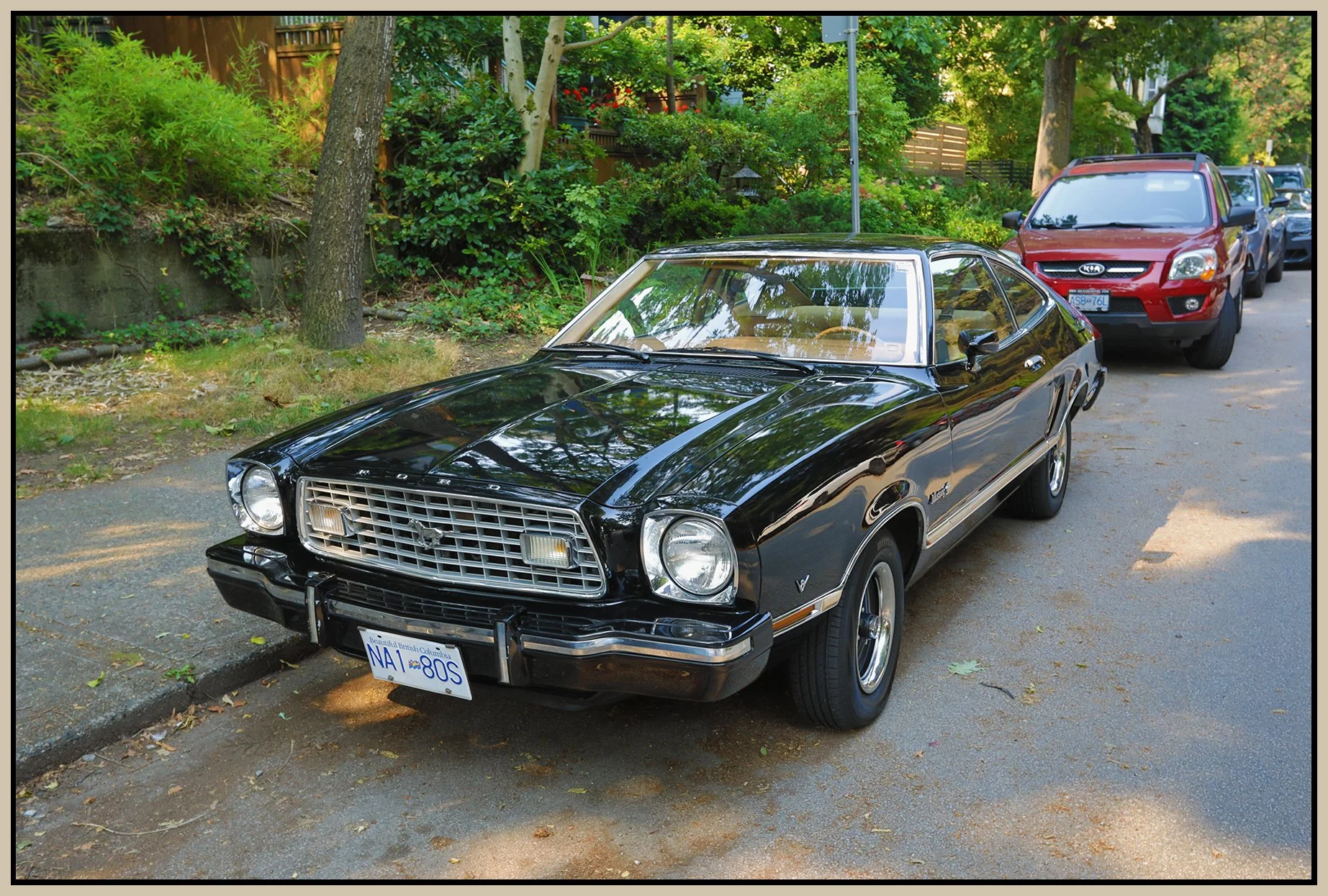 Ford Mustang 1976_Aug 13_2026_HDR_4L0267_4x6s.jpg