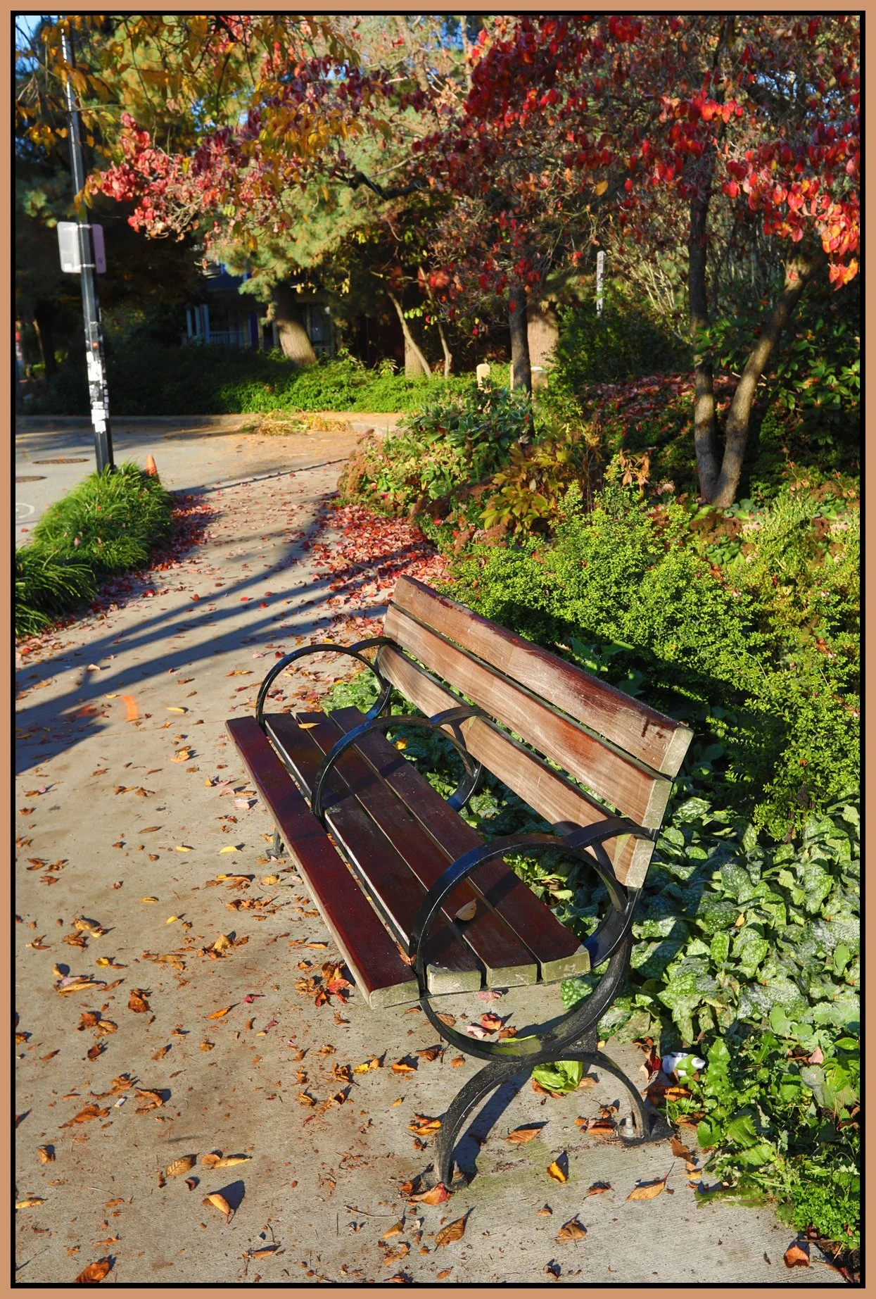 Bench on Hawks Ave_Oct 30_2017_HDR_B5524_4x6s.jpg