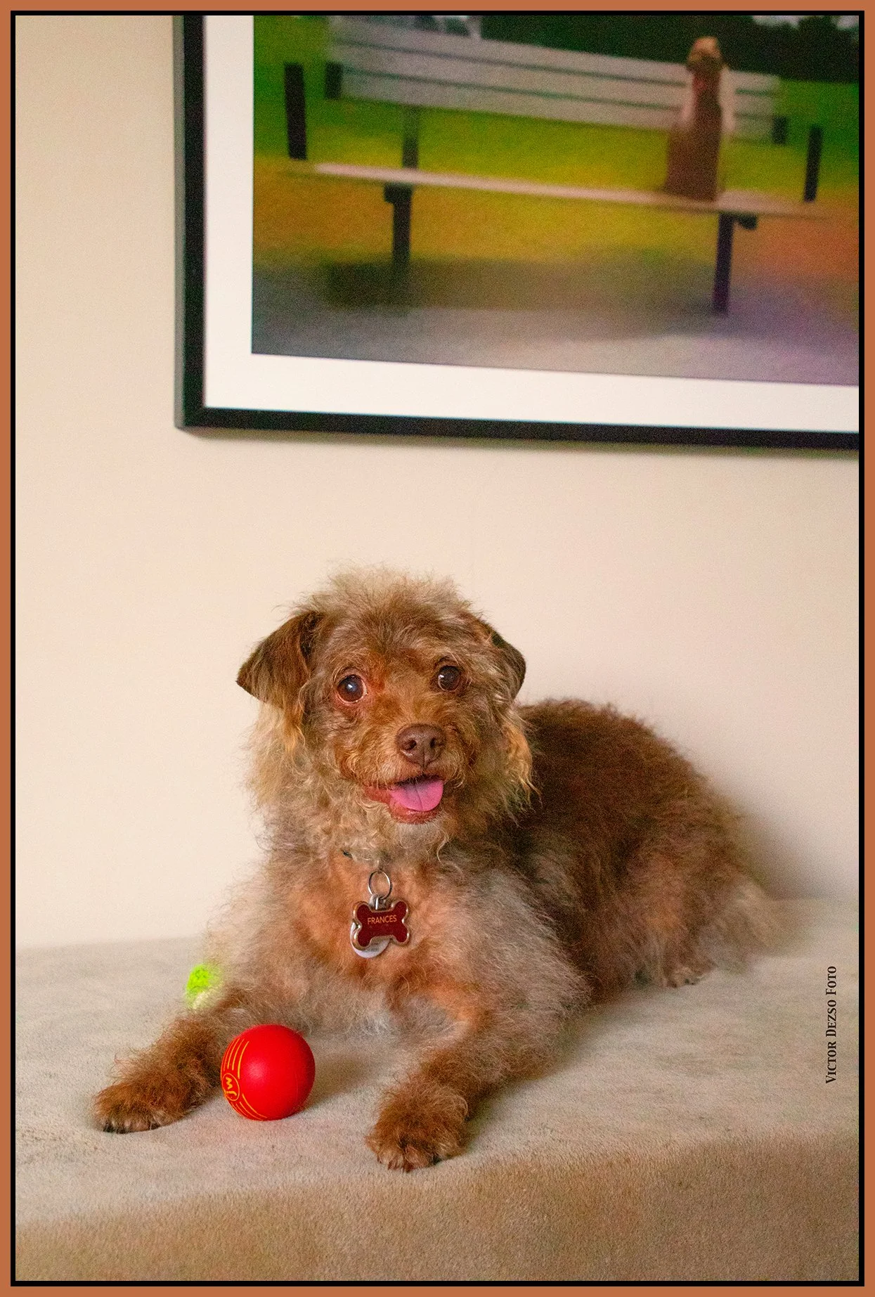 Frances_Mar 28_2024_CR2_4H5901_peHyperstrip_4x6s1.jpg