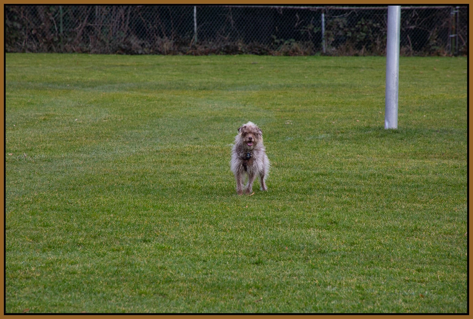 Frances in Queens Park_Feb 27_2025_CR2_5E0035_4x6s.jpg