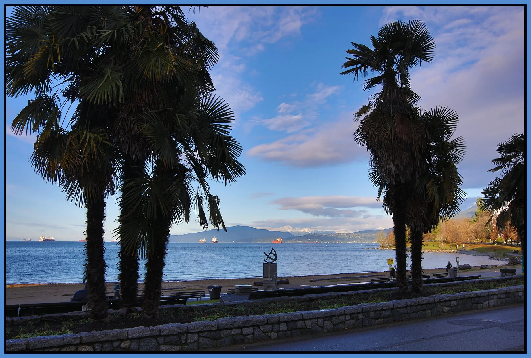 English Bay Palm Trees_Dec 2_2023_HDR_5E1883_4x6s.jpg