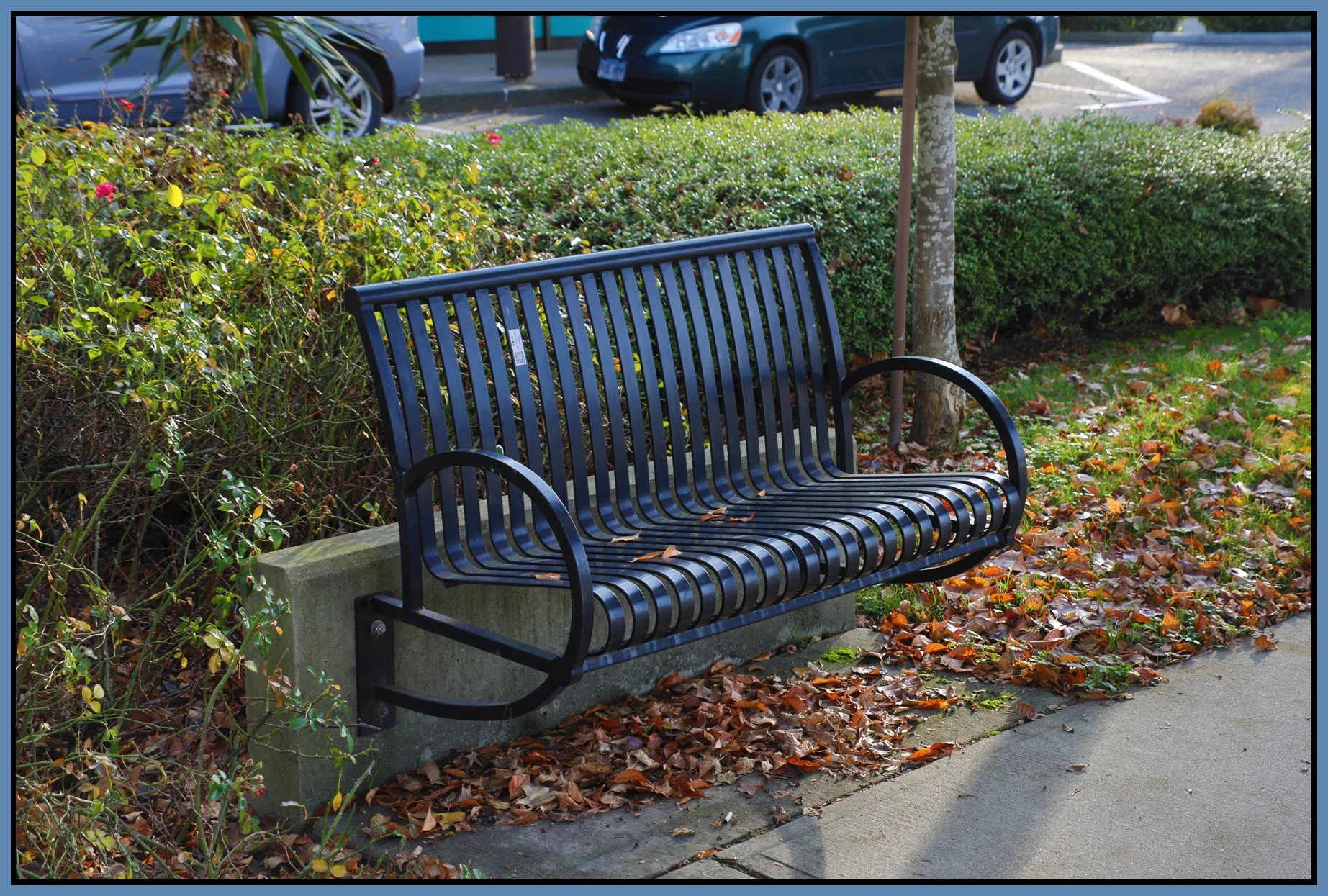 Bench in Rmd_Dec 5_2017_HDR_B2717_4x6s.jpg