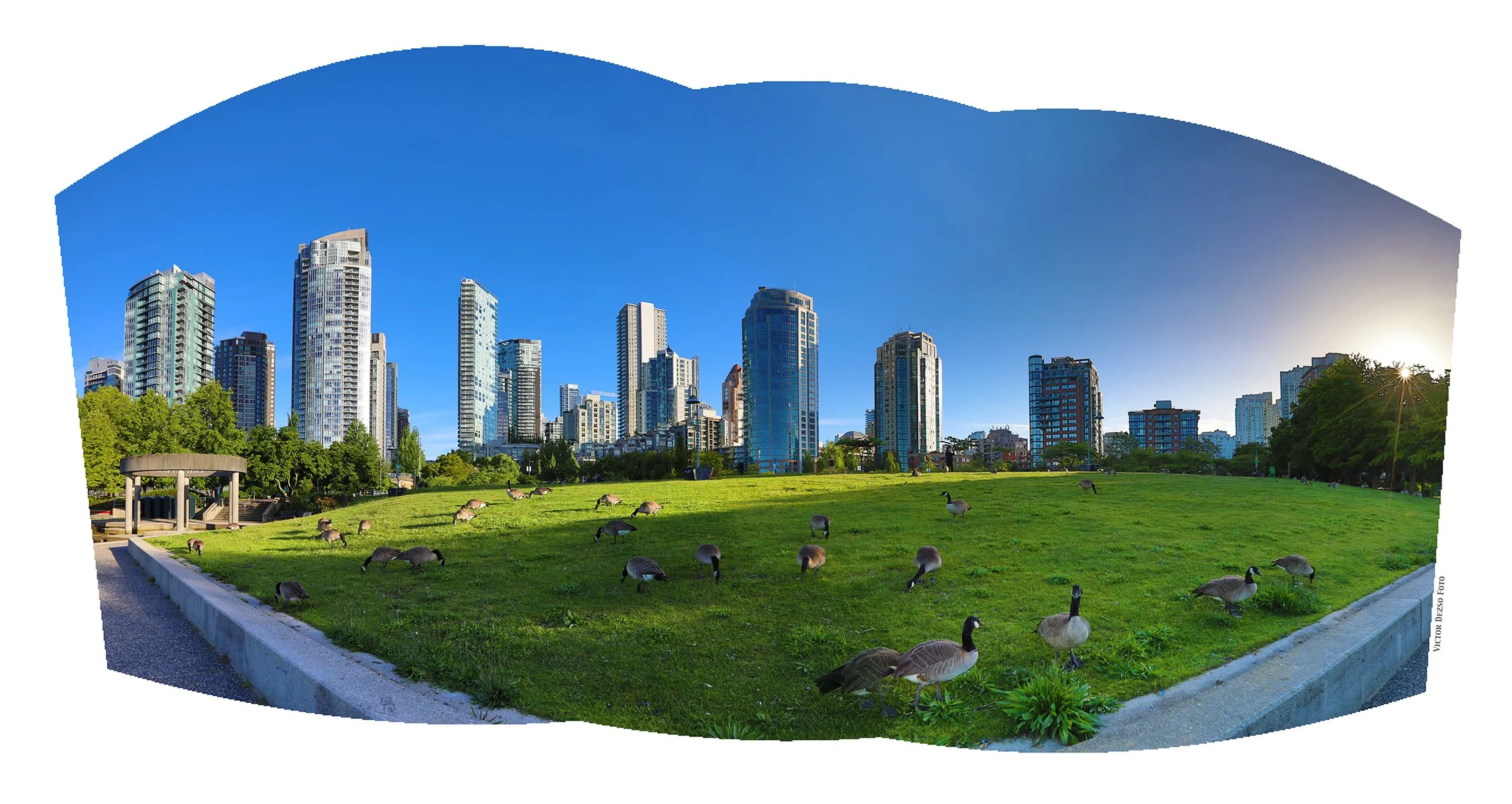 David Lam Park LkgN_Jun 5_2024_HDR_Pan_4J0212psd_4x7.5.jpg