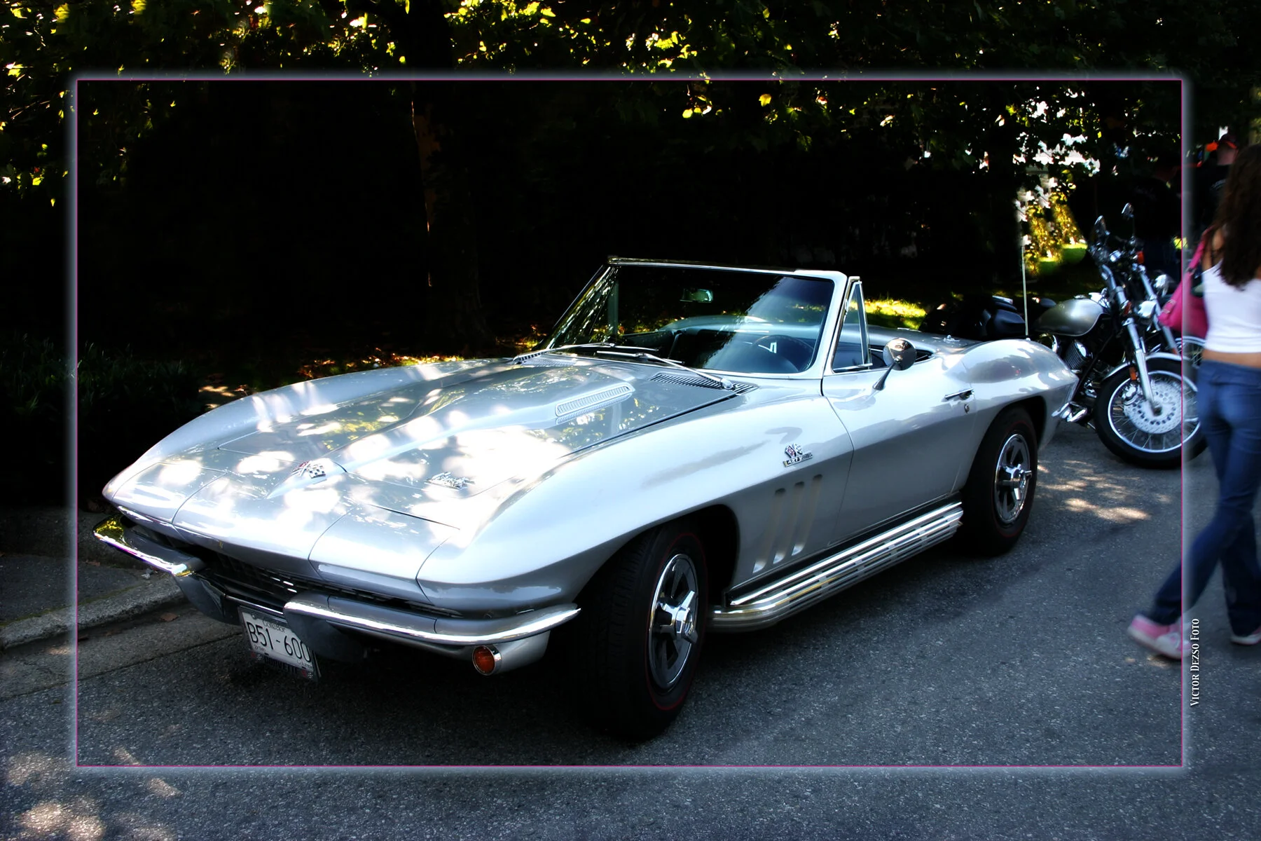 Corvette_8816_4x6.jpg