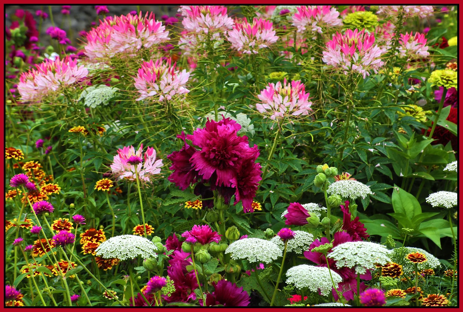 Flowers_Aug 14_2024_HDR_5E8286_4x6s.jpg
