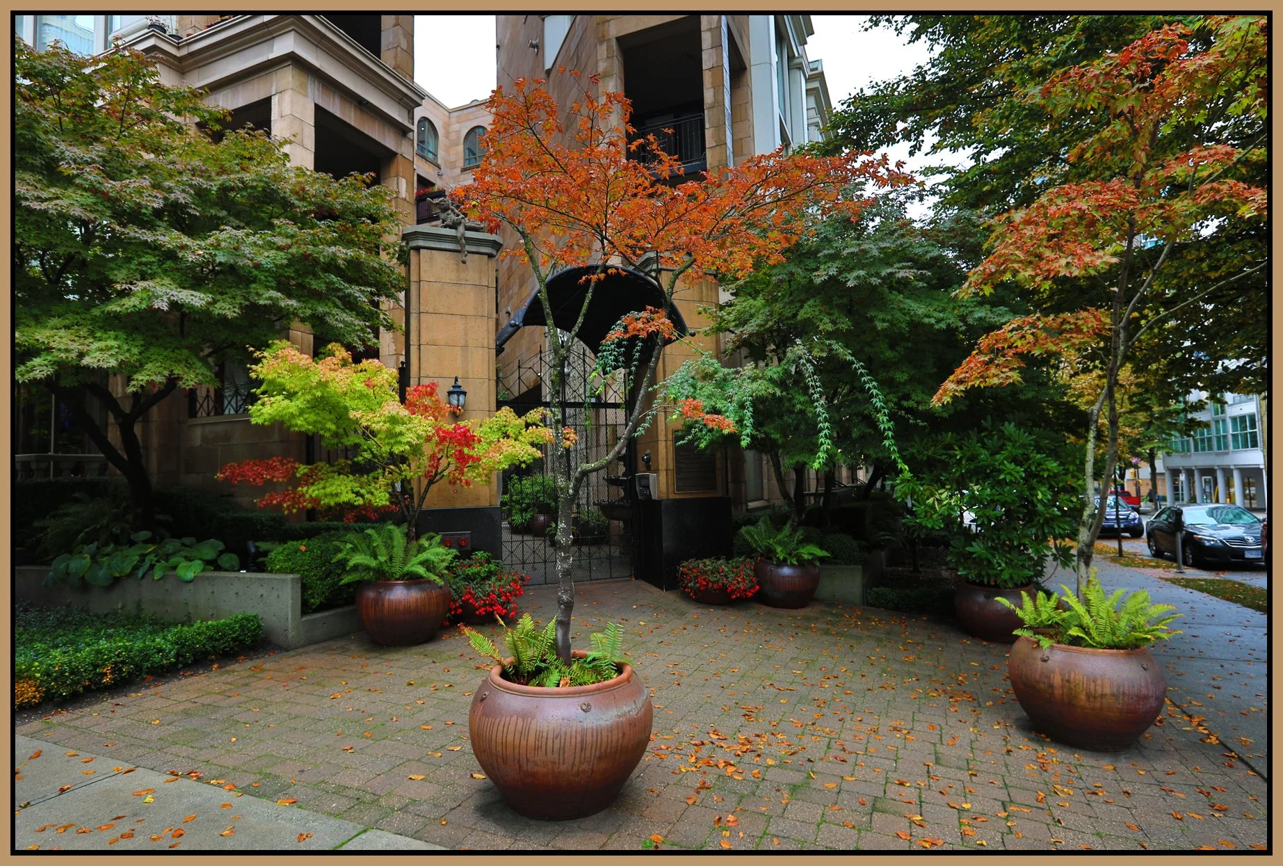 499 Drake_Fall Leaves_Oct 13_2016_HDR_A2622_4x6s.jpg