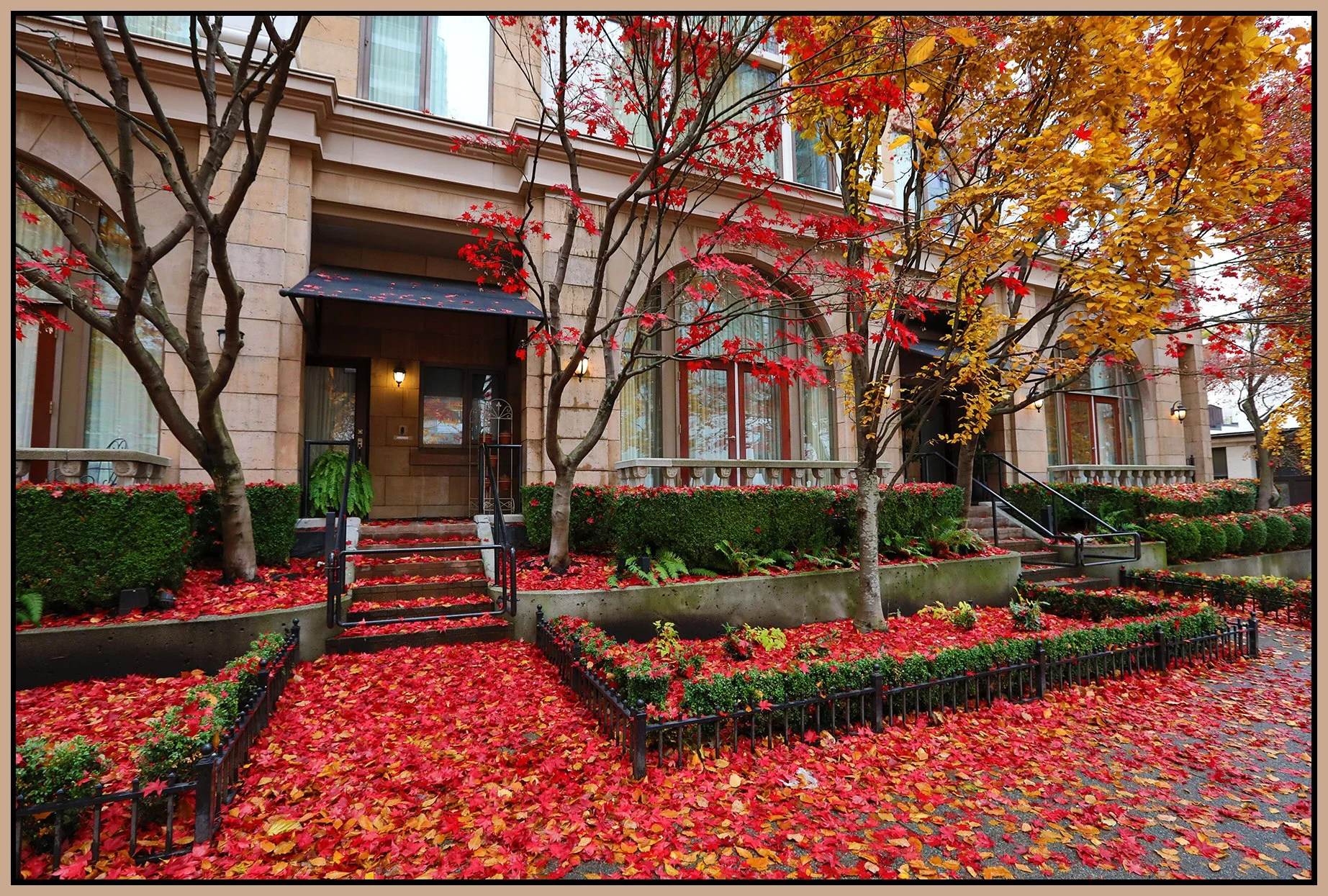 489 Drake St_Nov 25_2022_HDR_5C7899_4x6s.jpg