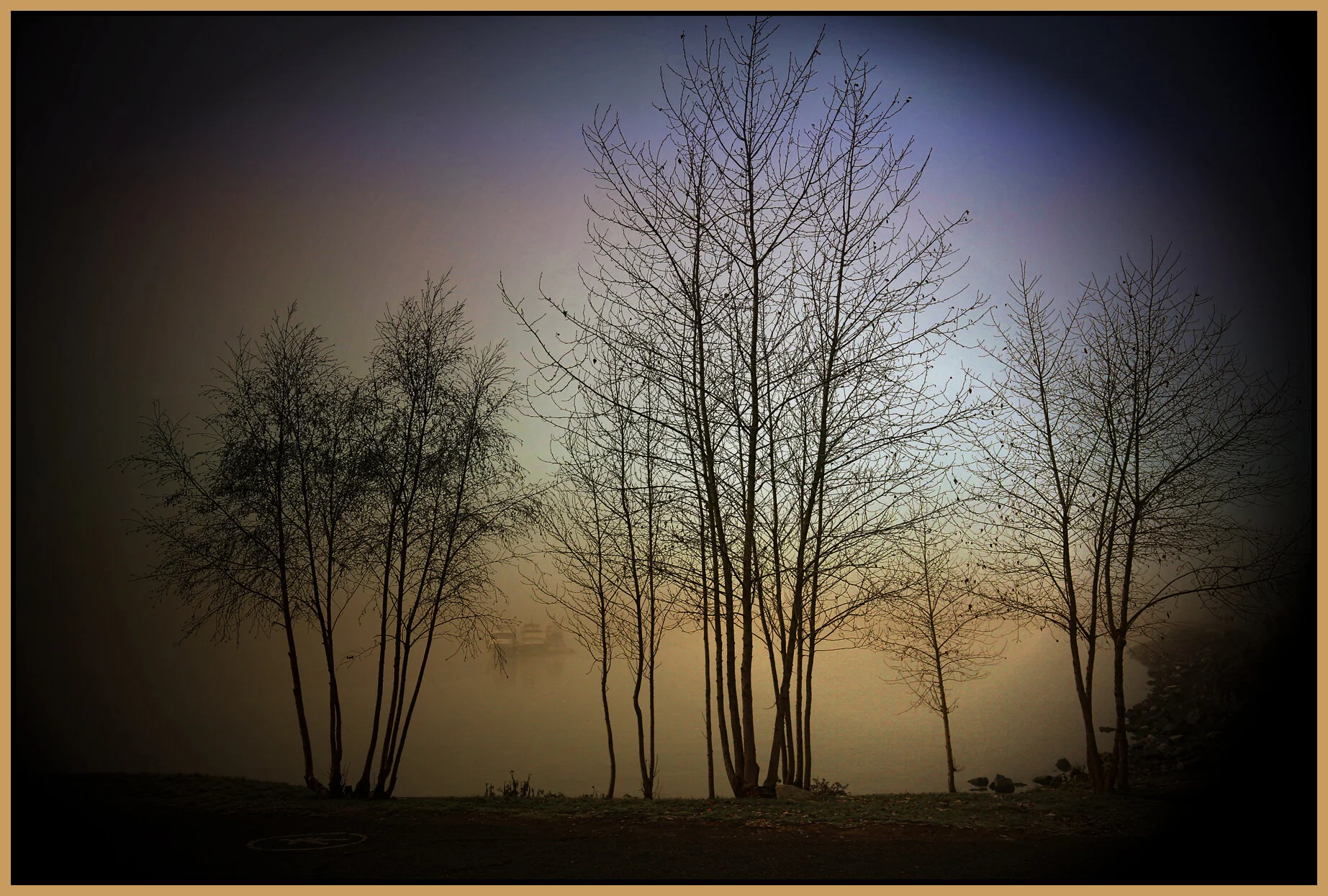 6 View Trees_Jan 1_2016_HDR_K1914_peIntensesun_4x6s.jpg