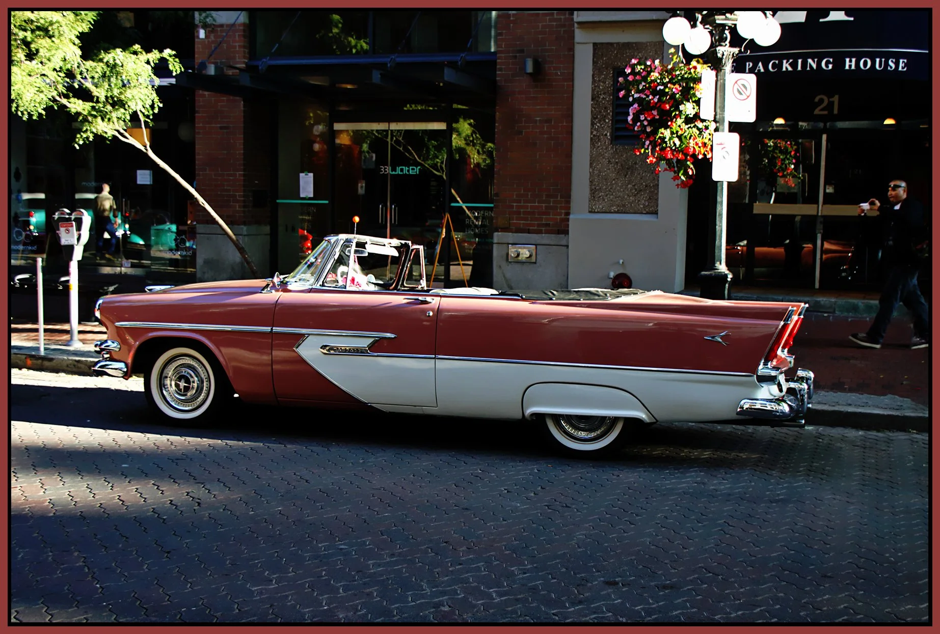 Dodge Mayfair 1956_3042_peOlsenart Olden_4x6s.jpg