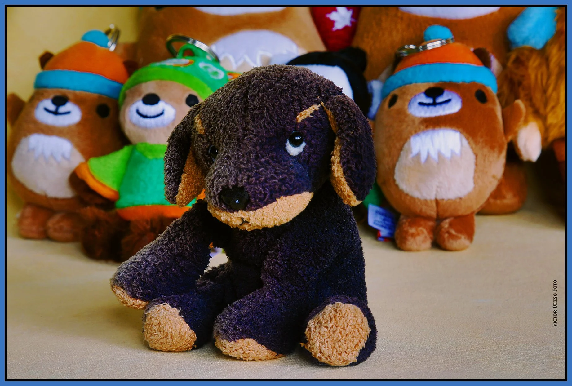 Puppy Tyke_Dec 13_2024_HDR_3B9613_peEWGT_4x6s.jpg