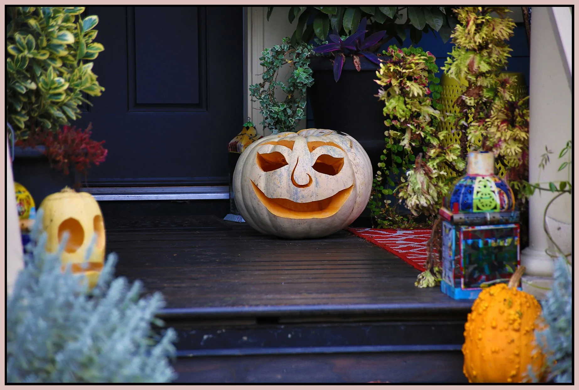 Pumpkin_Nov 2_2015_HDR_FH9425_4x6s.jpg