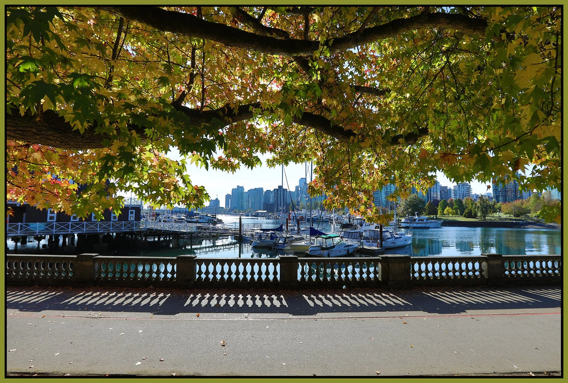 Vancouver from Stanley Park_Sep 30_2023_HDR_5C6632_4x6s.jpg