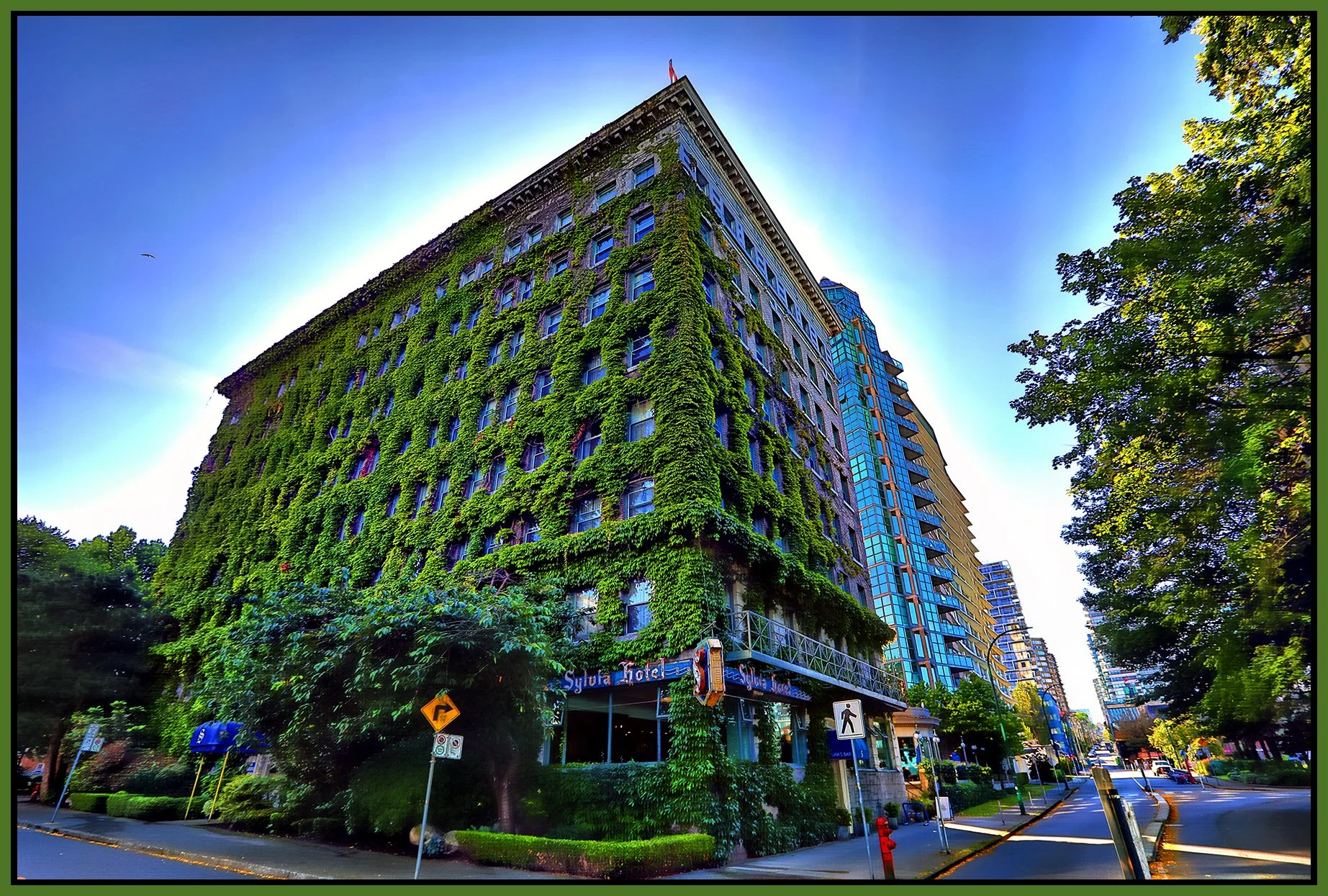 Sylvia Hotel_Jul 7_2025_HDR_4J8009_peHdr2013_1_4x6s.jpg