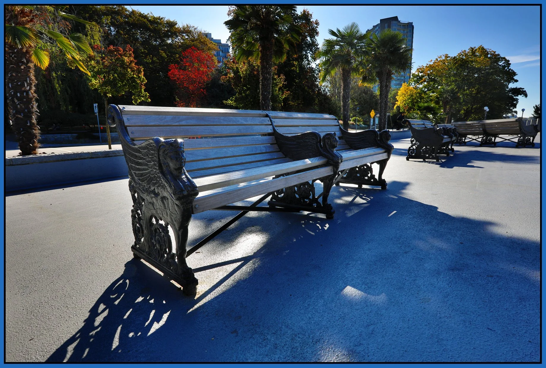 Benches on English Bay_Oct 4_2017_HDR_B8662_4x6s.jpg