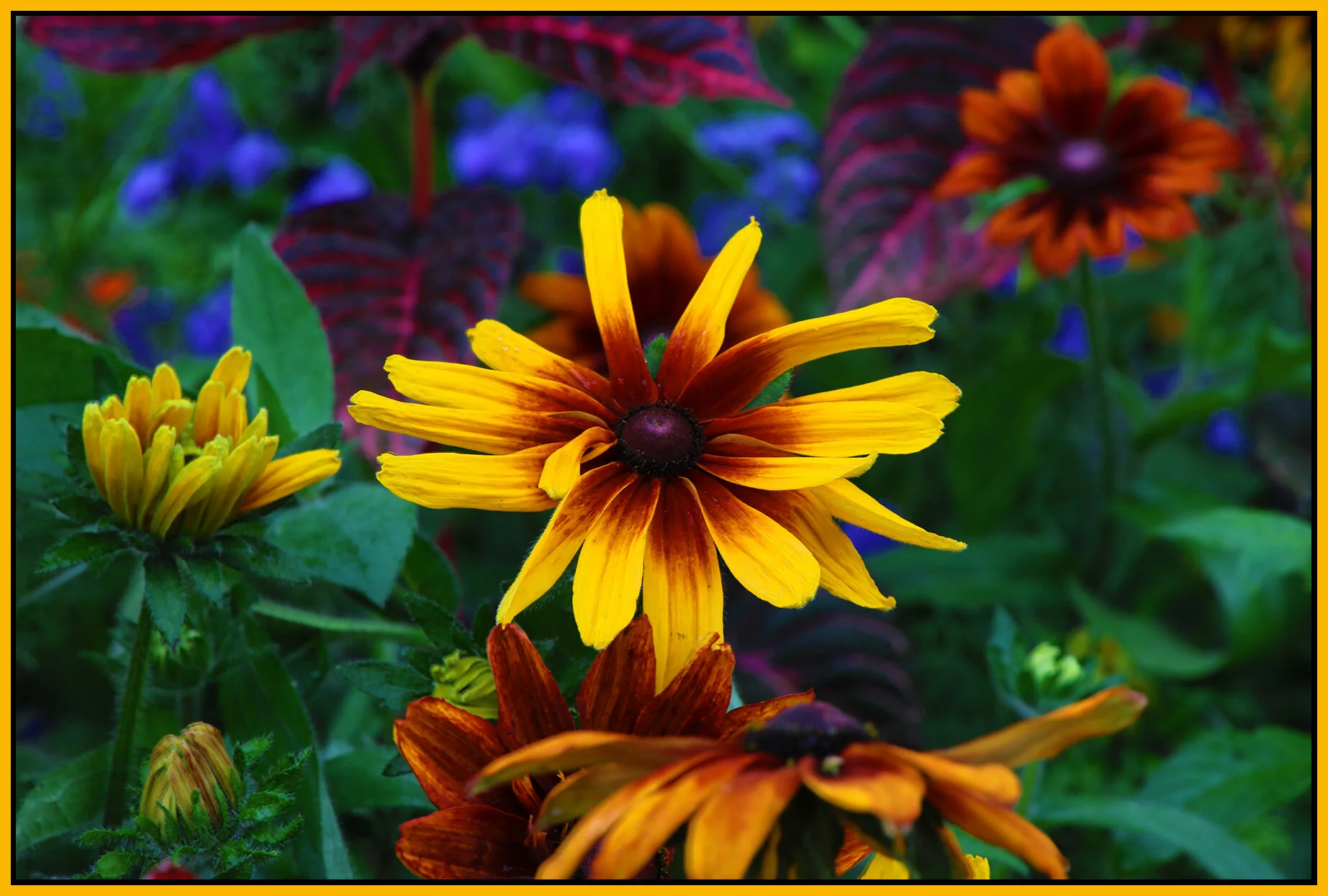 Flowers_Aug 8_2021_HDR_4G2385_4x6s.jpg