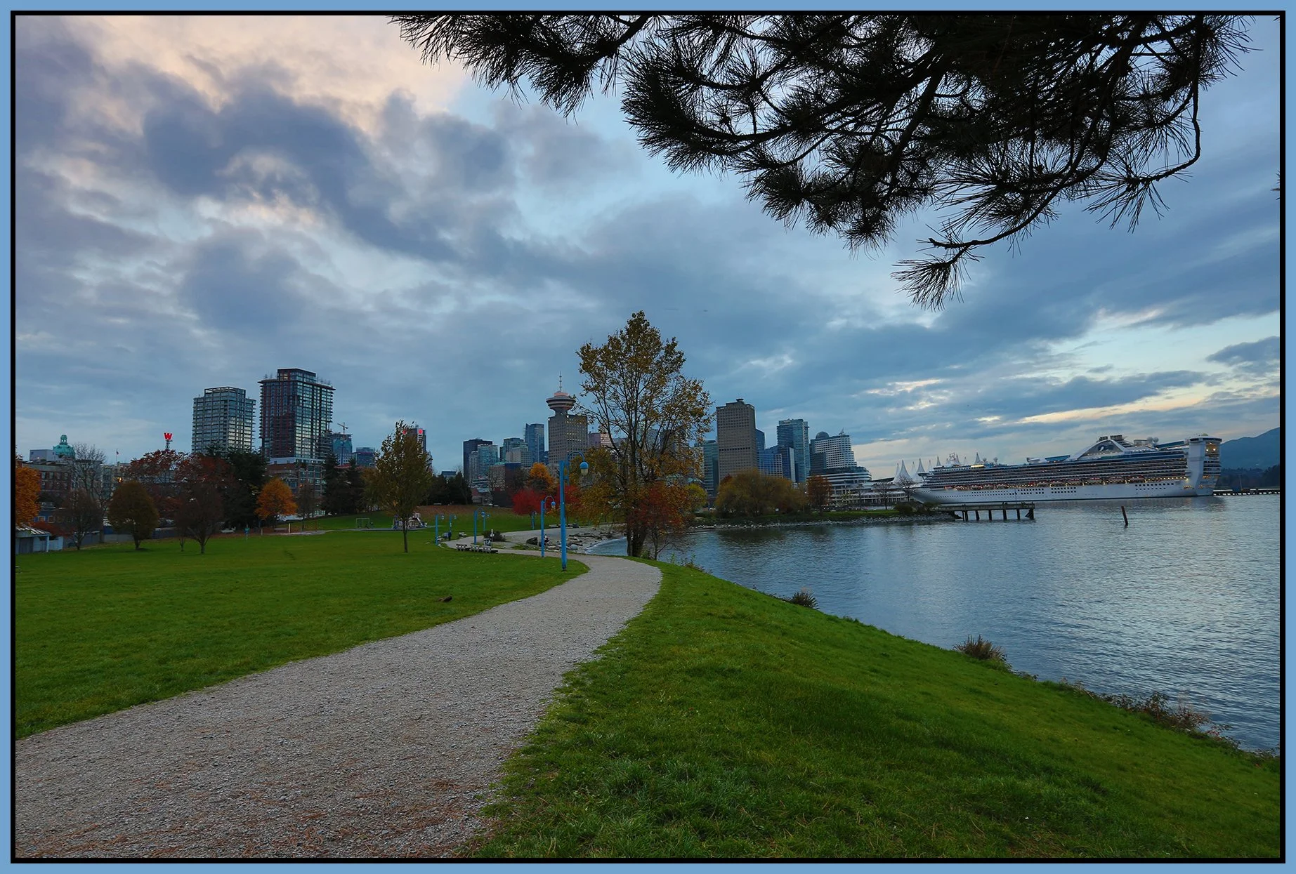 Crab Park Tree Lkg SW_Nov 8_2015_HDR_H0094_4x6s.jpg
