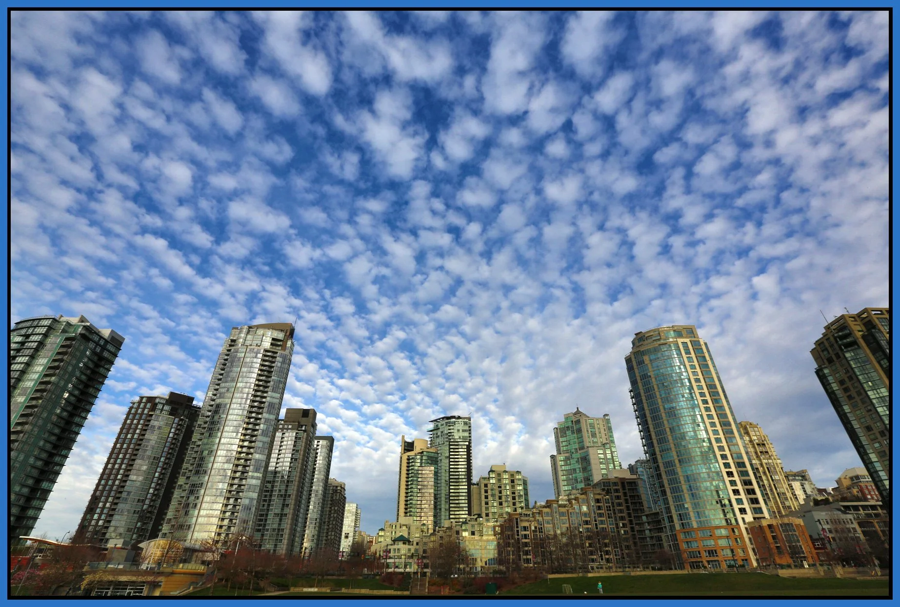 David Lam Pk_Mar 1_2015_HDR_F3940F4020_4x6s.jpg
