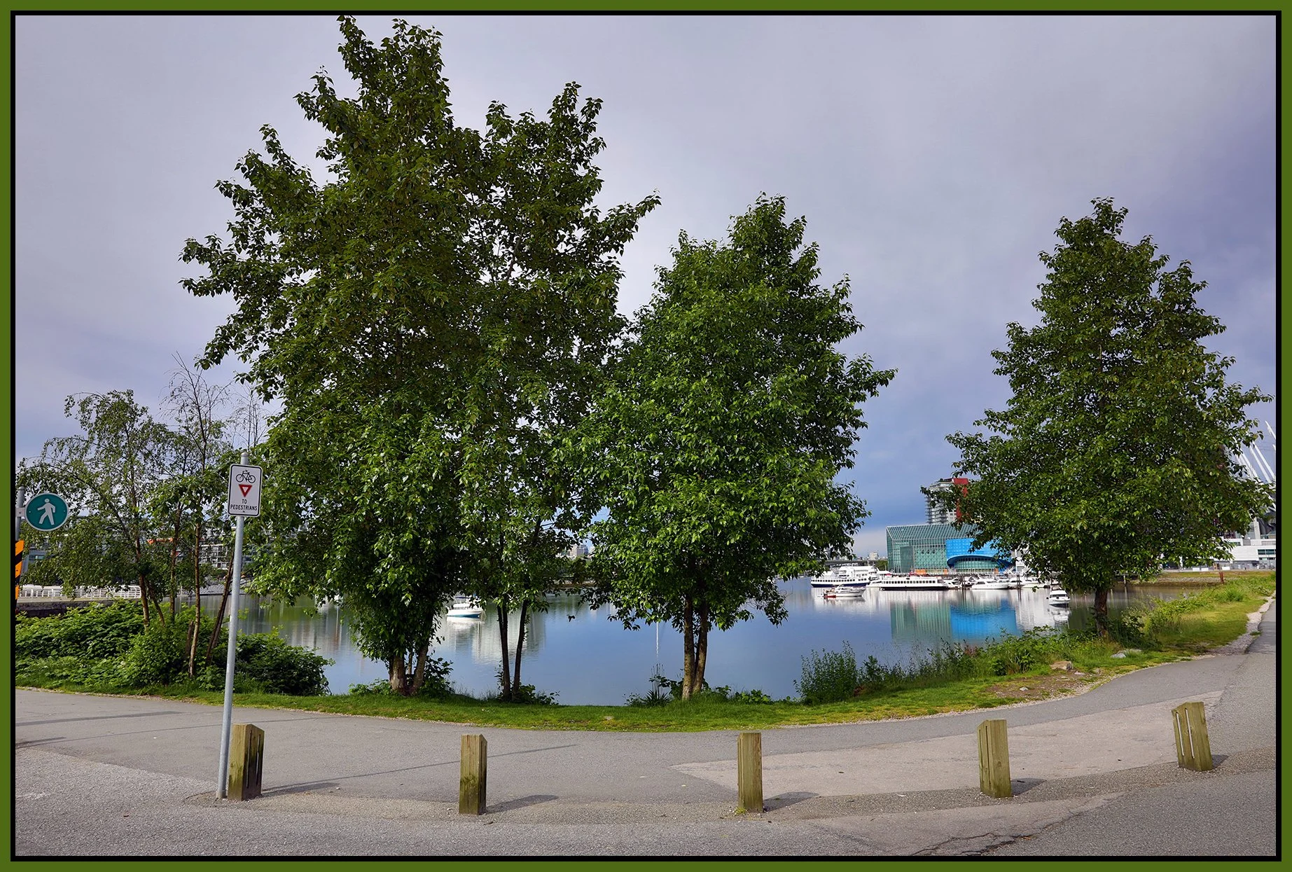 6 View False Ck Trees_Jun 5_2020_HDR_4F4130_4x6s.jpg